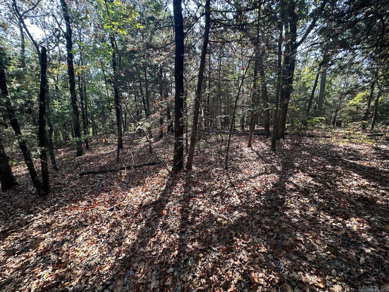 000 Gassaway  Searcy, AR