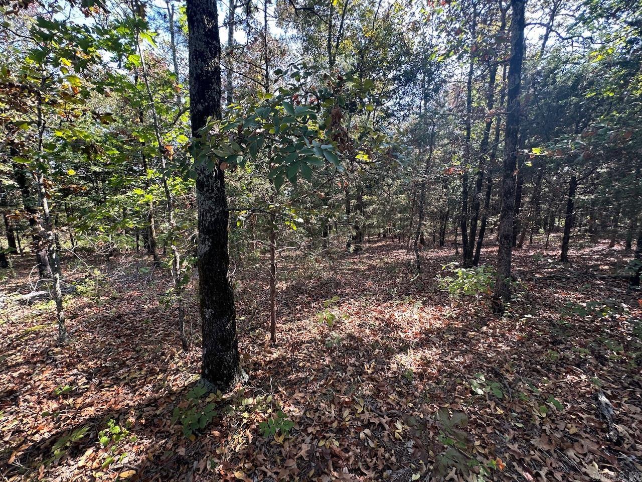 000 Gassaway  Searcy, AR