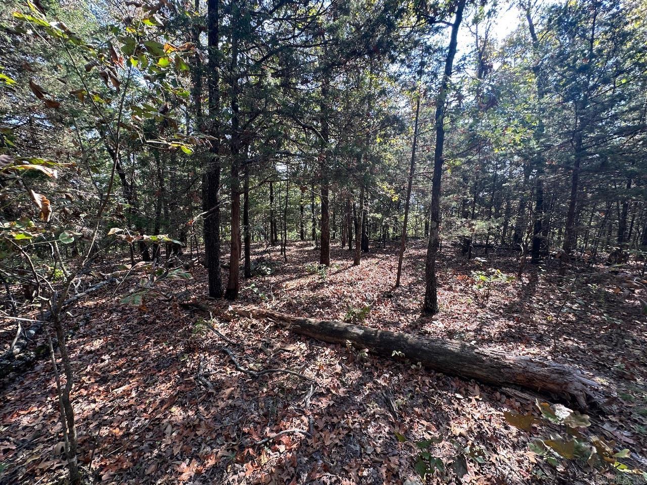 000 Gassaway  Searcy, AR