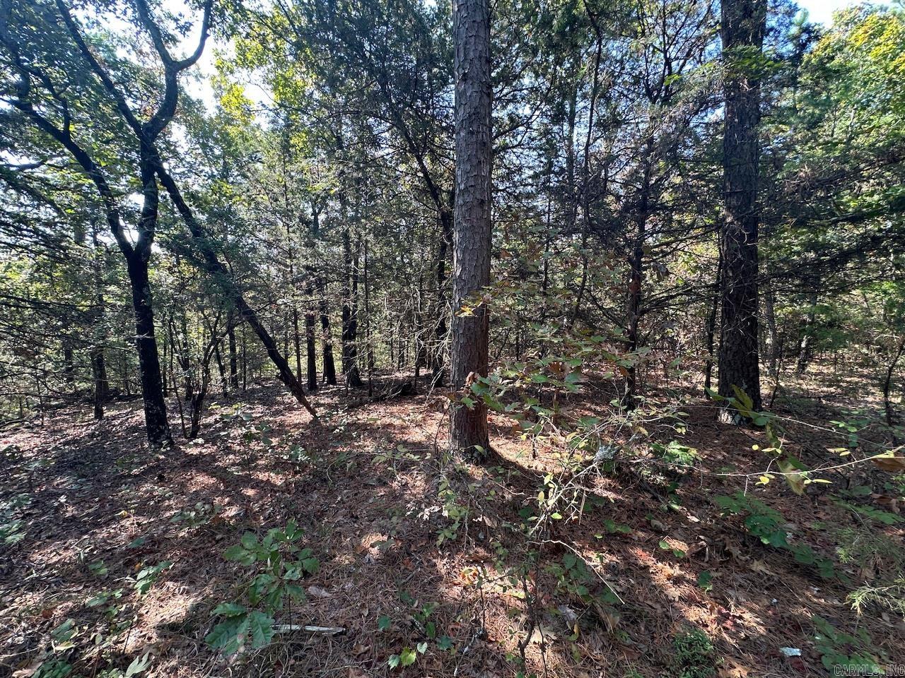 000 Gassaway  Searcy, AR
