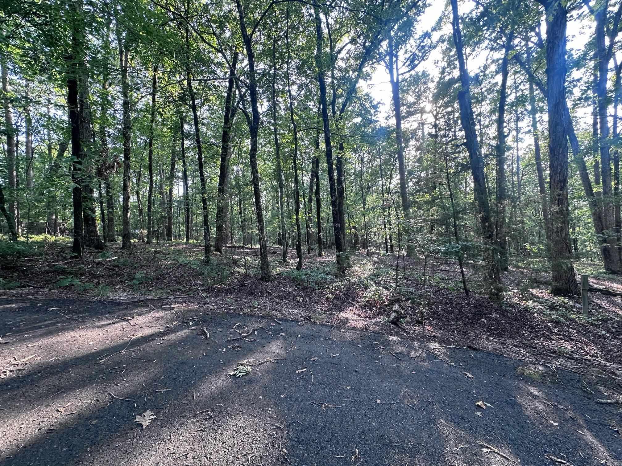 5 Elda Pl  Hot Springs Village, AR