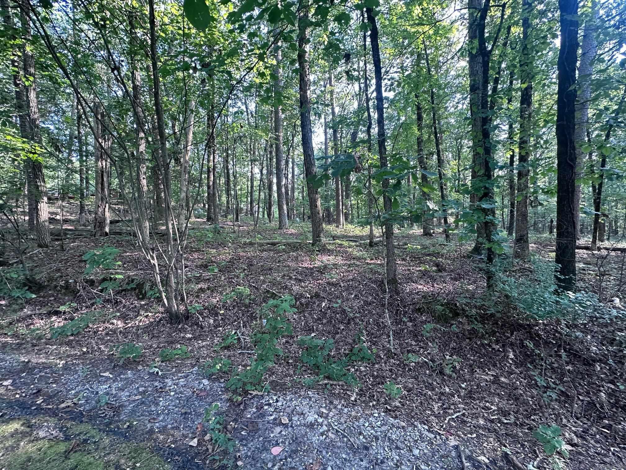 5 Elda Pl  Hot Springs Village, AR