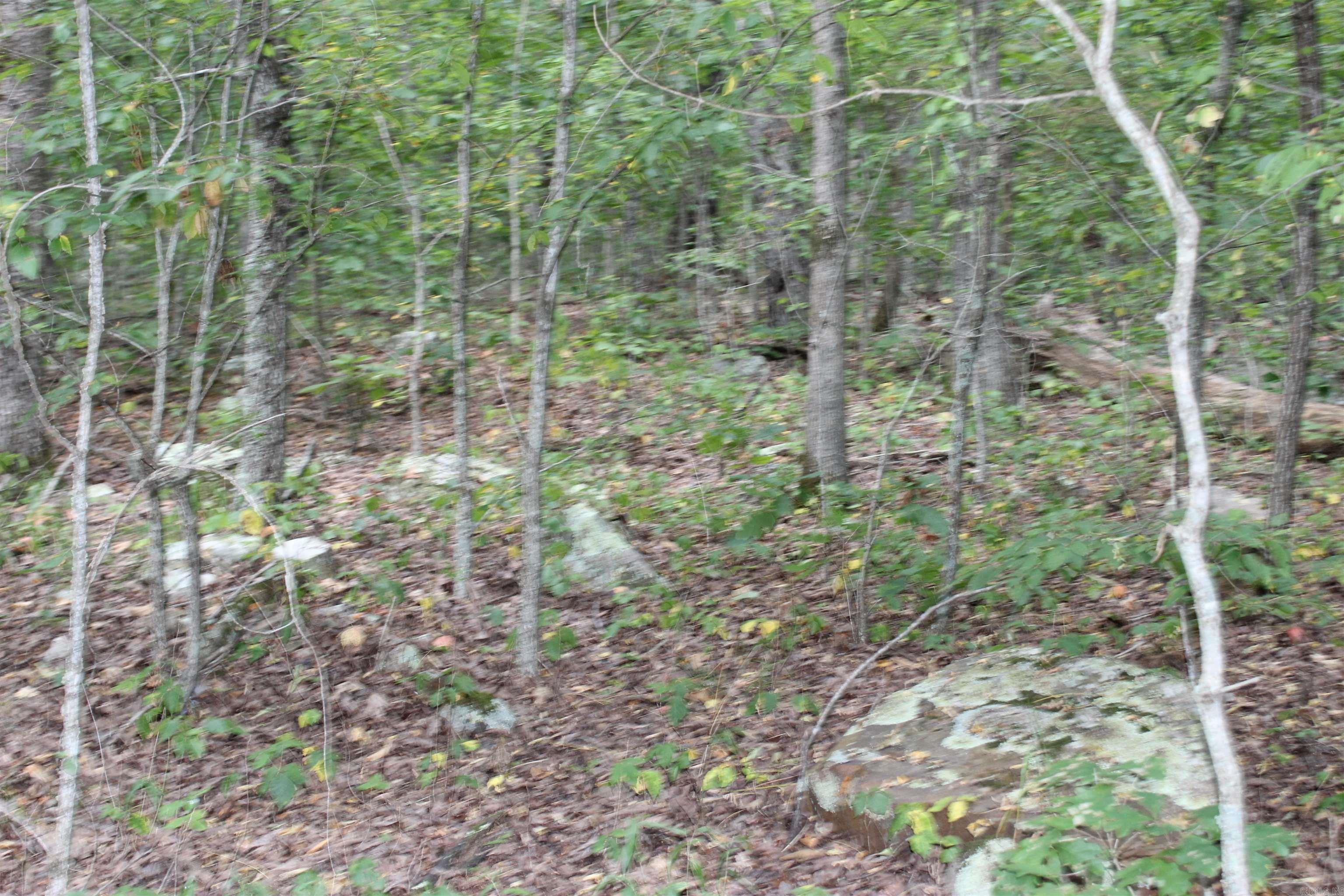 1202 Liberty Road  Leslie, AR