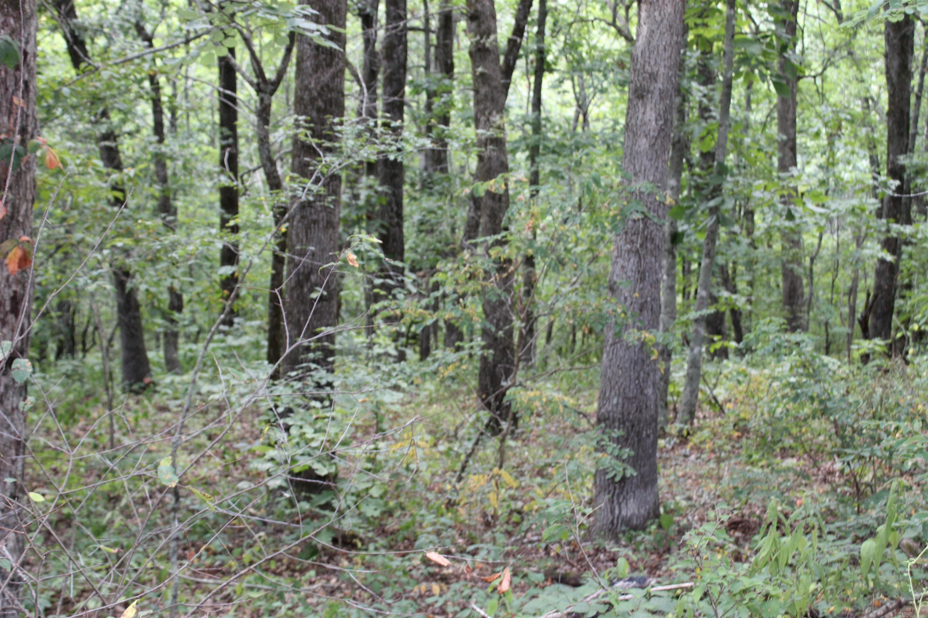 1202 Liberty Road  Leslie, AR