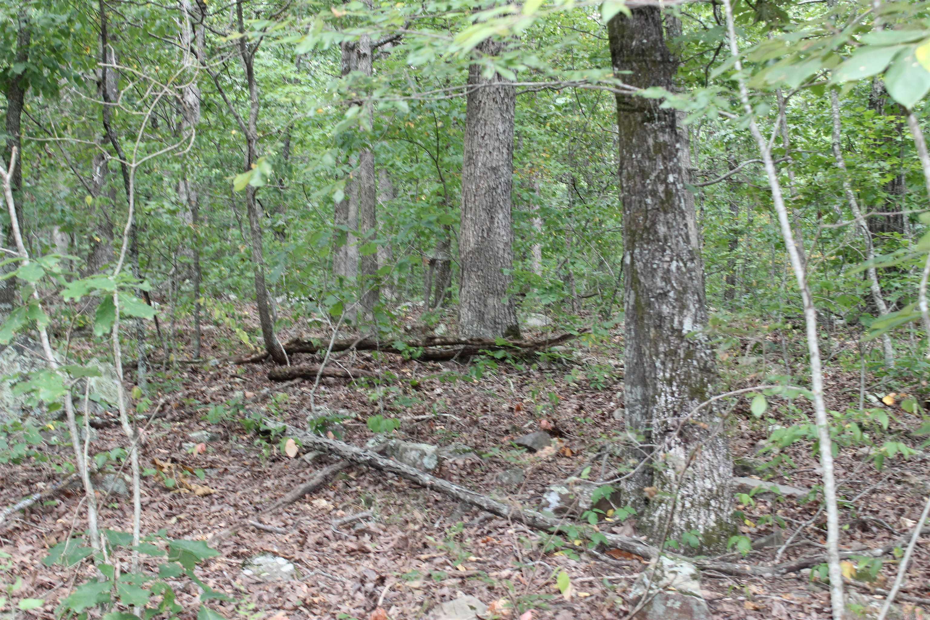 1202 Liberty Road  Leslie, AR