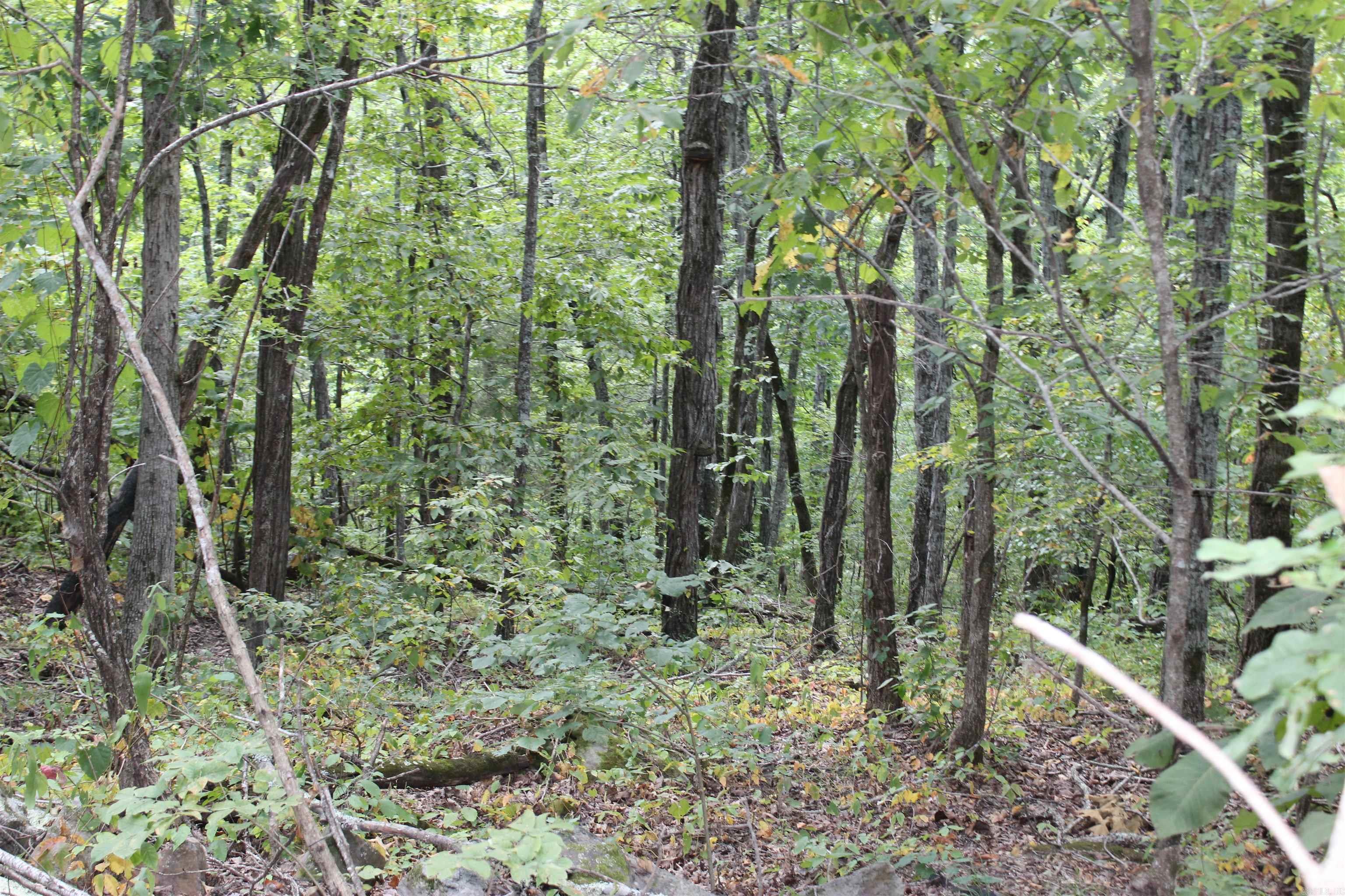 1202 Liberty Road  Leslie, AR