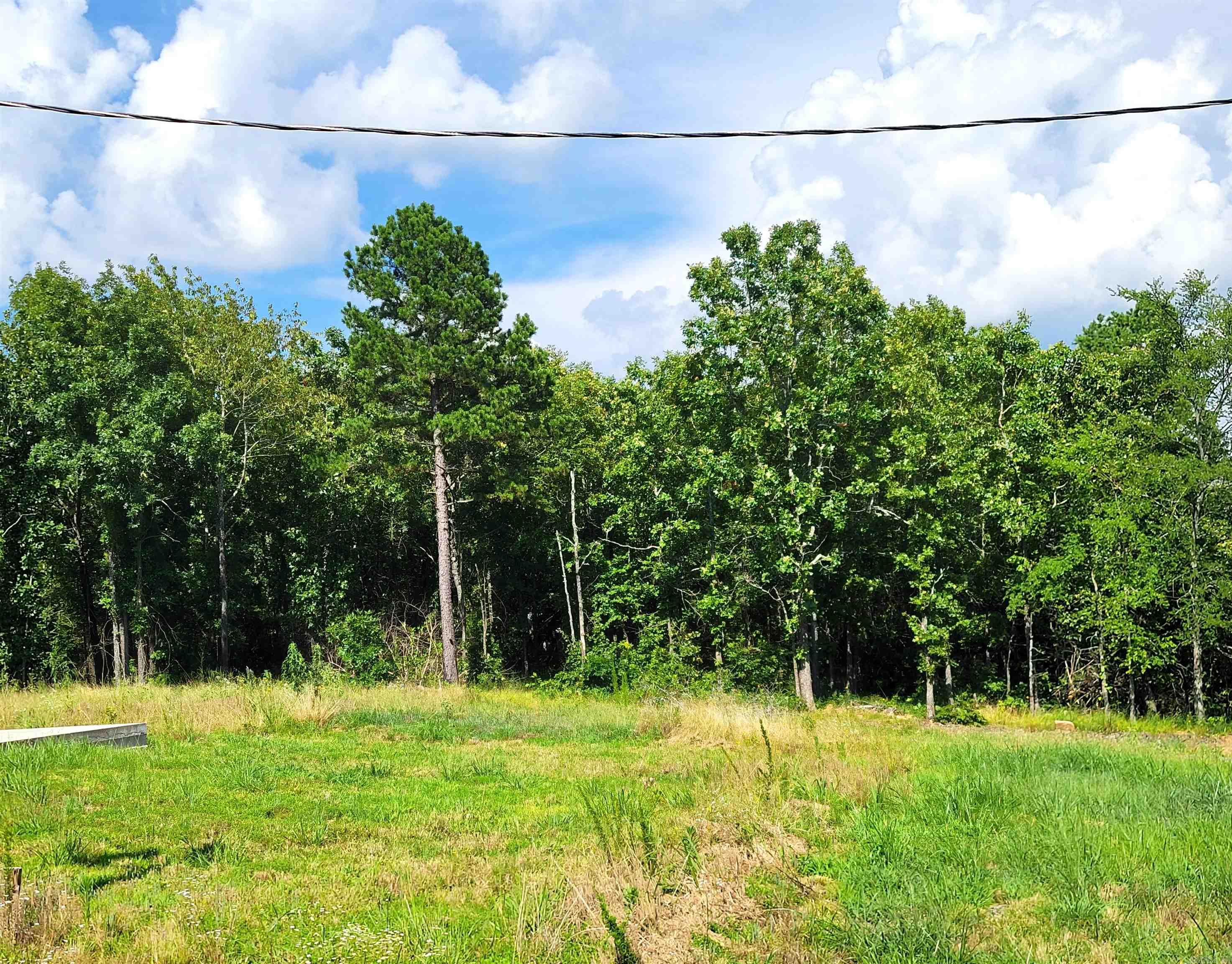 425 Stone Mountain  Conway, AR