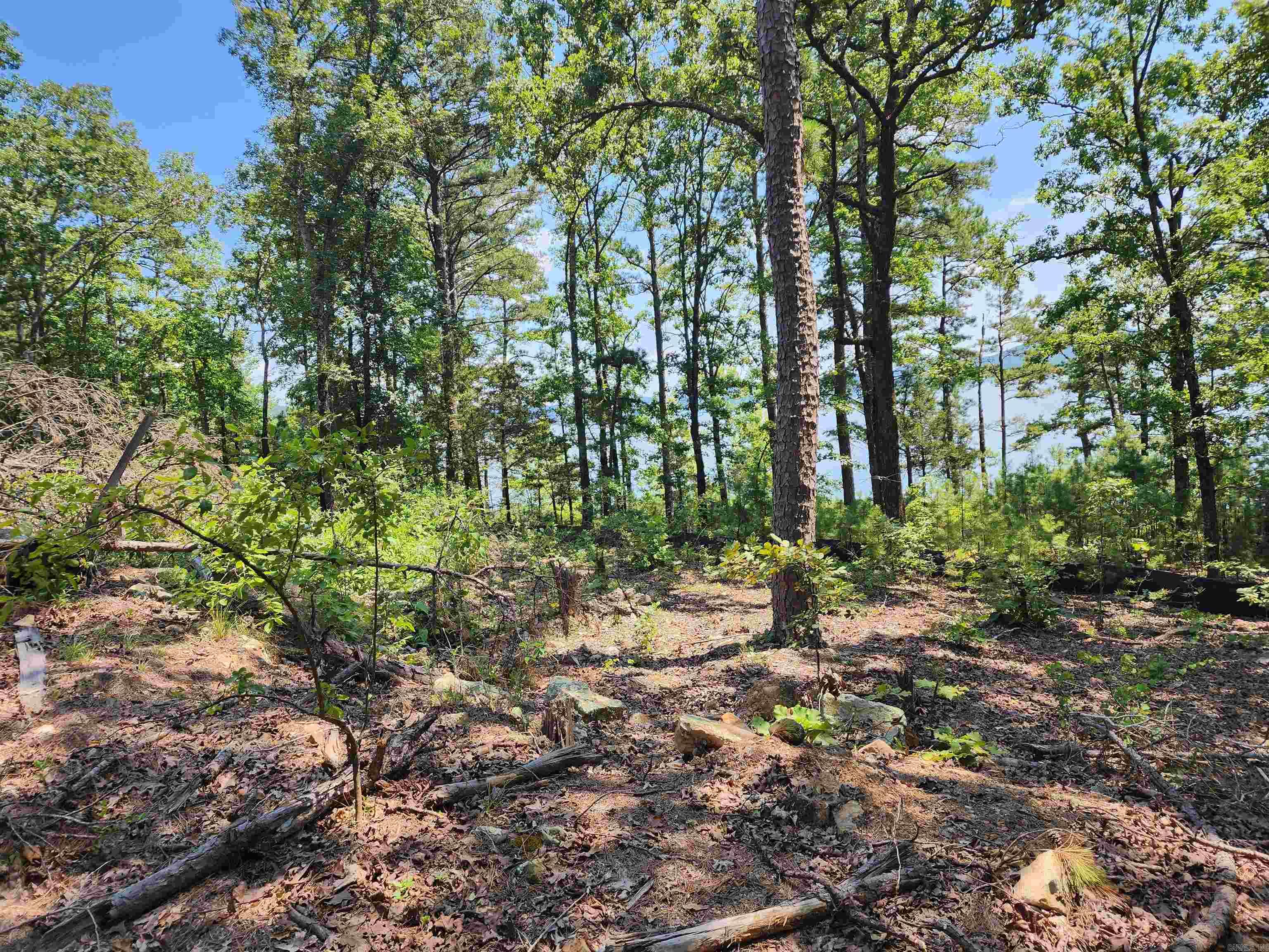  Wilshire  Fairfield Bay, AR