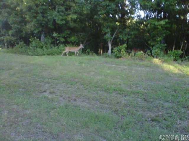  Wilshire  Fairfield Bay, AR