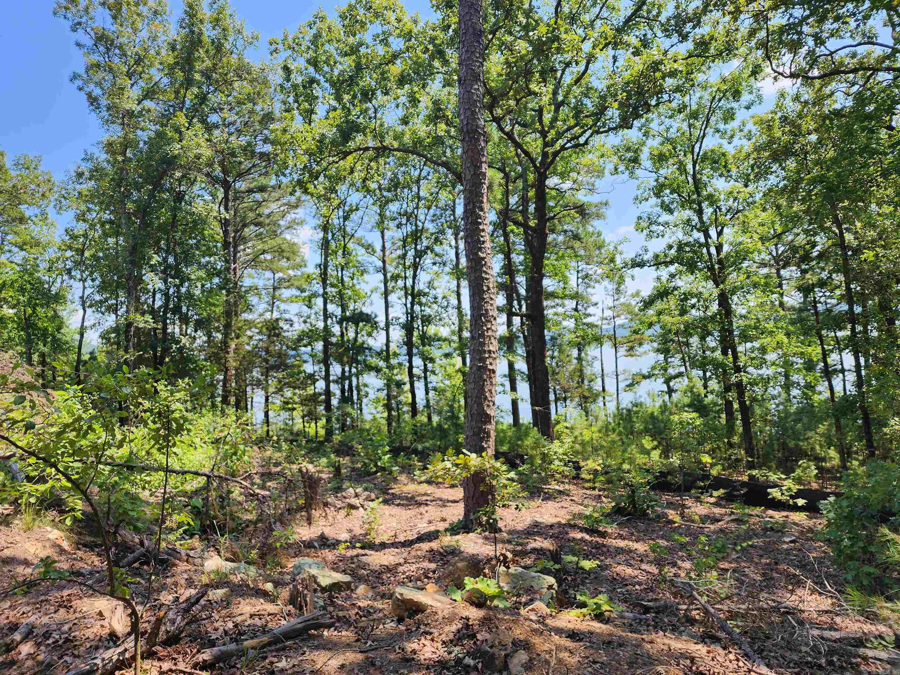  Wilshire  Fairfield Bay, AR
