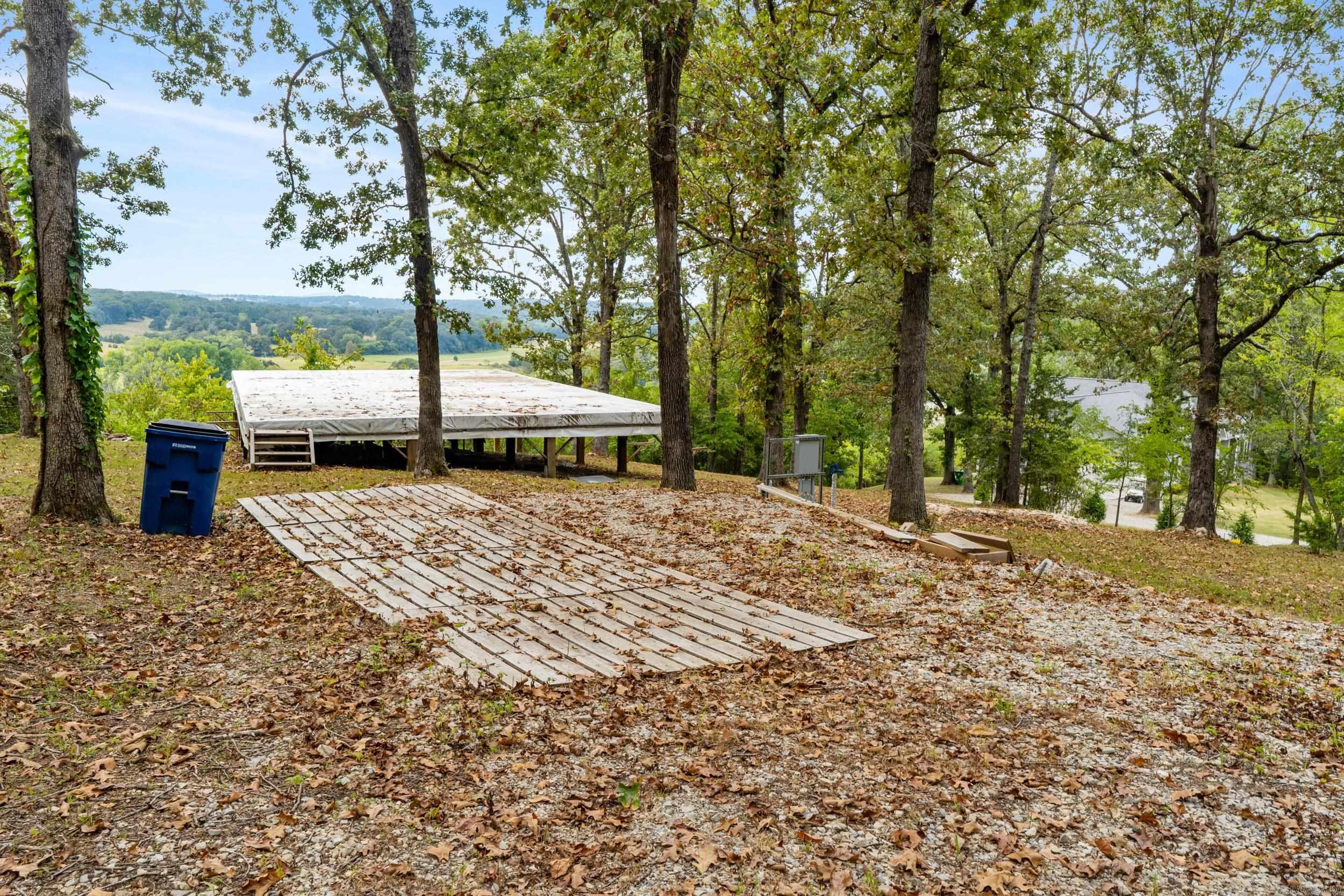 377 Virginia Lee  Cotter, AR