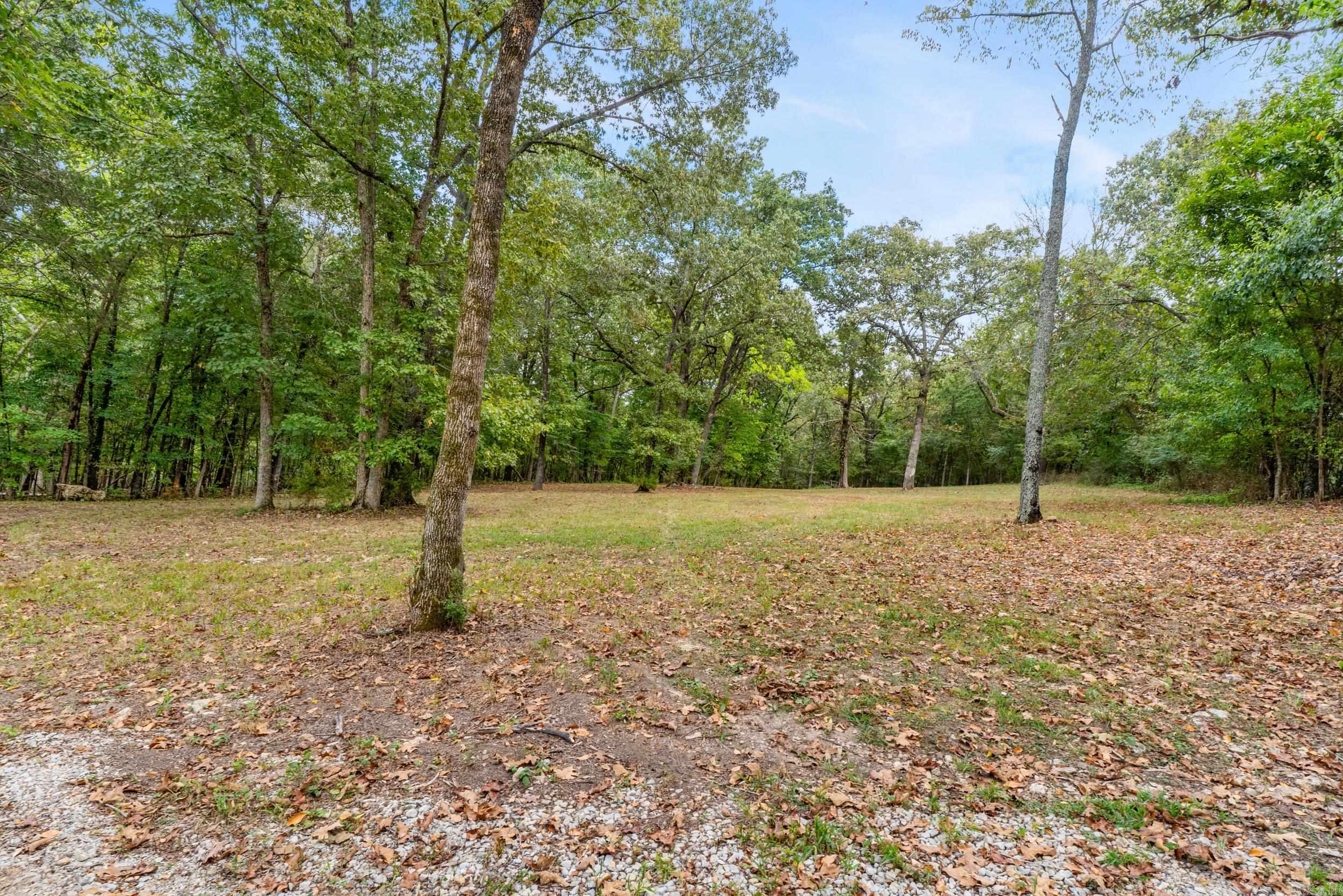 377 Virginia Lee  Cotter, AR