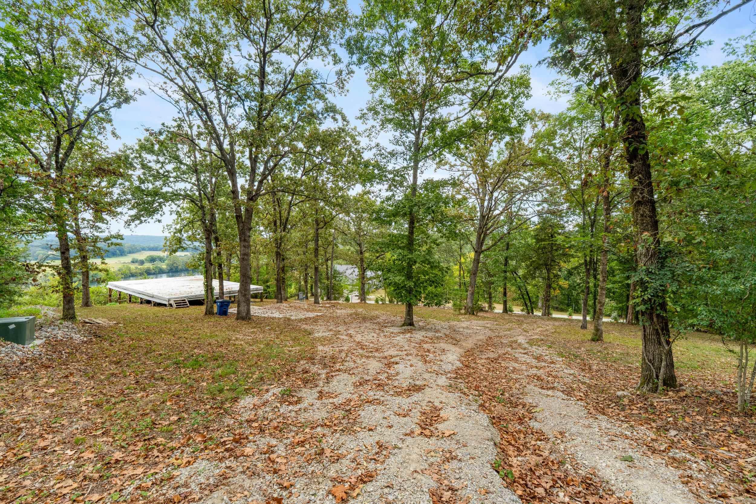 377 Virginia Lee  Cotter, AR