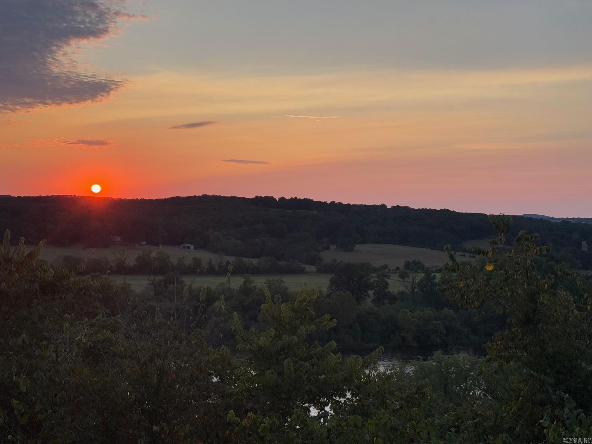 377 Virginia Lee  Cotter, AR