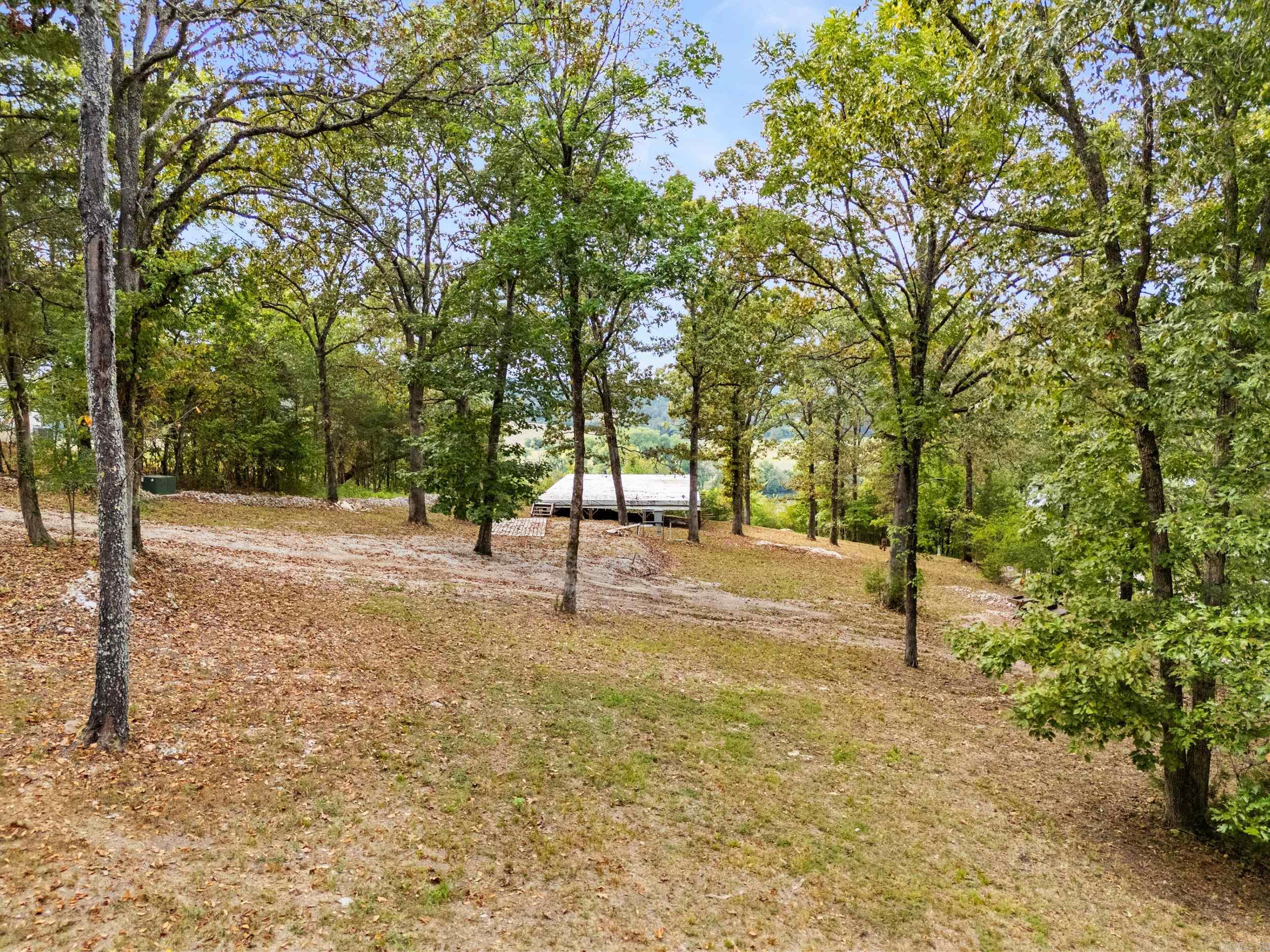 377 Virginia Lee  Cotter, AR