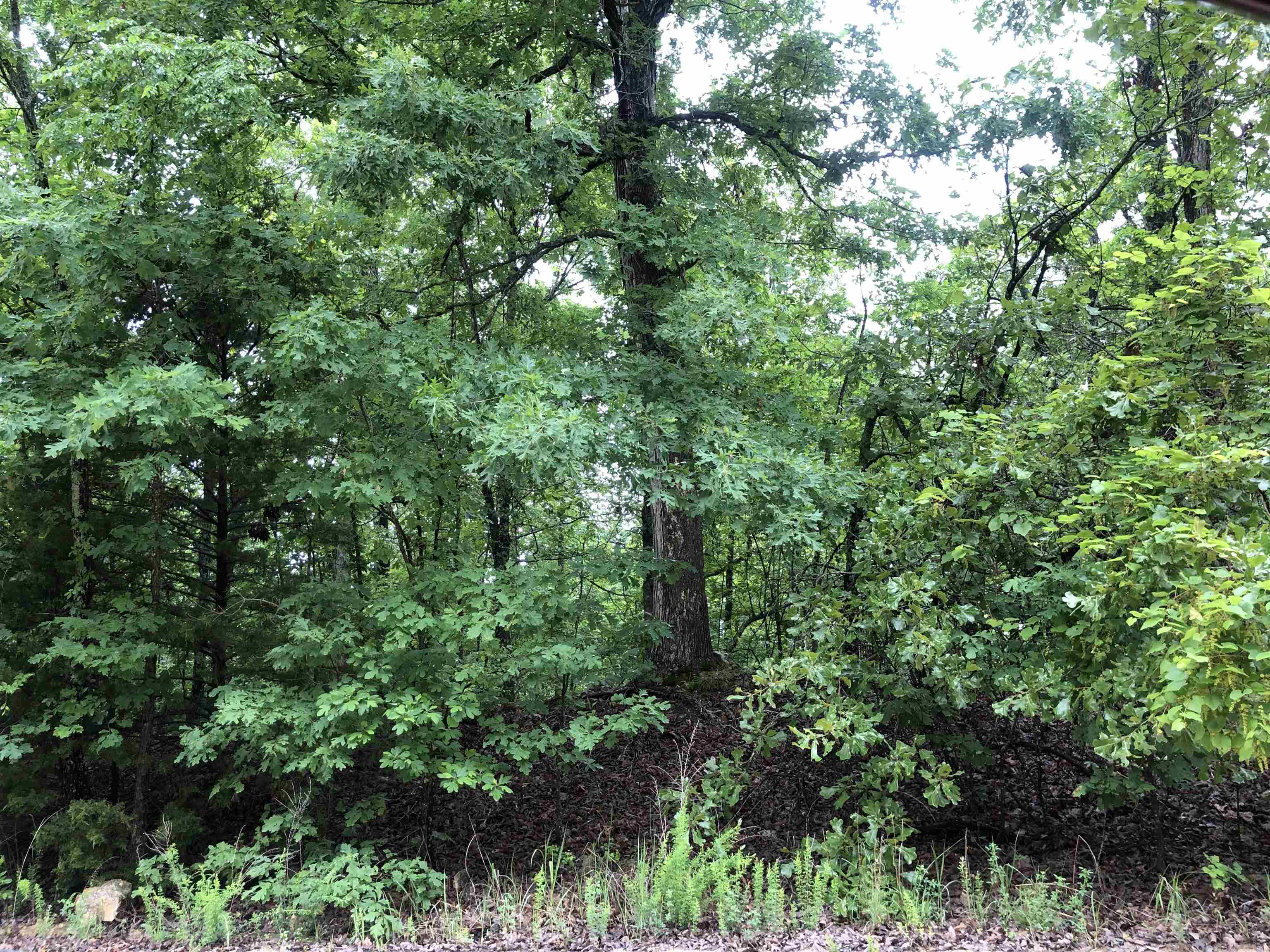  Chesapeake Lot 47, Block 5 Cherokee Village, AR