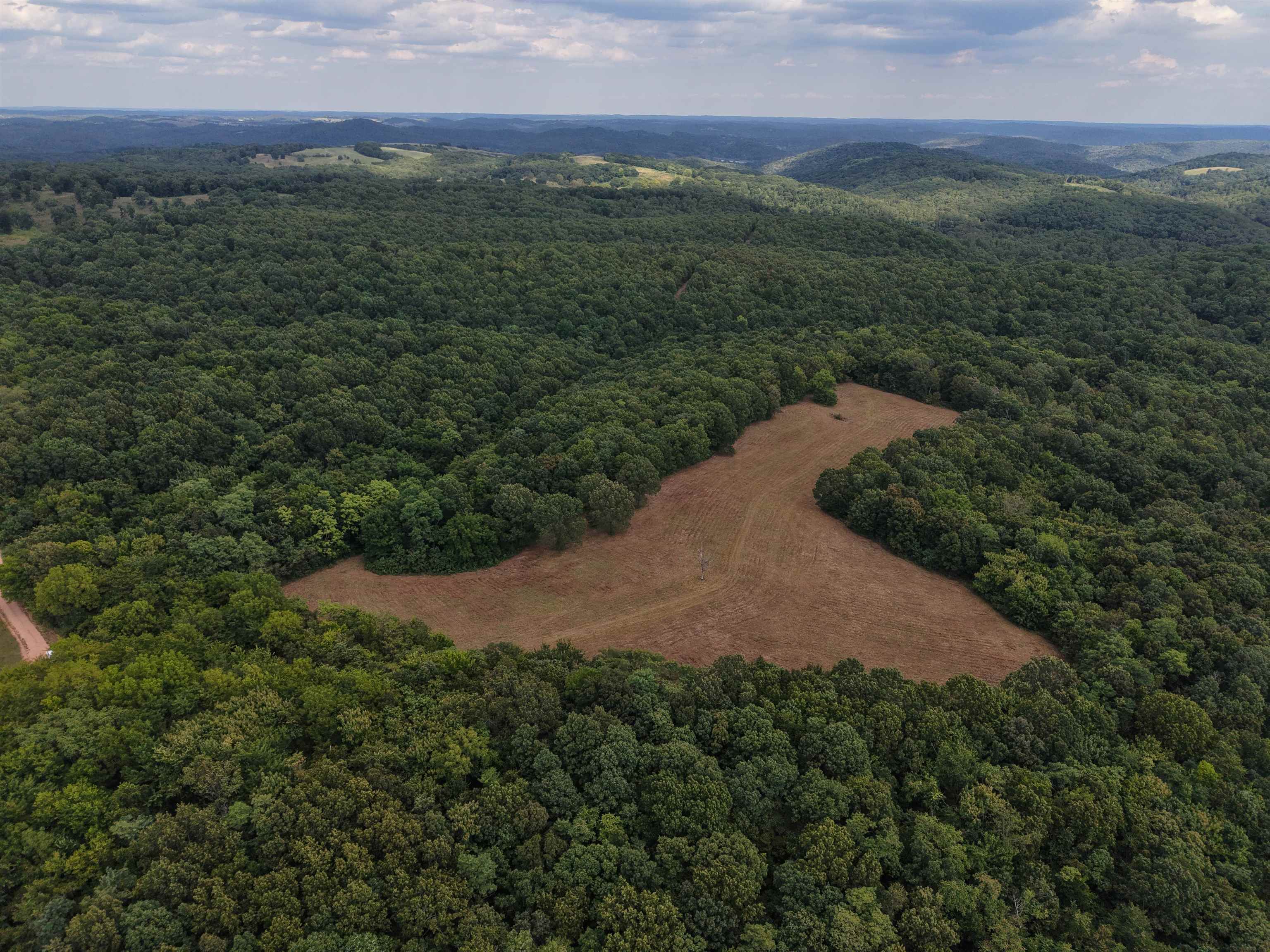 186A Williamson Trail  Mount Pleasant, AR