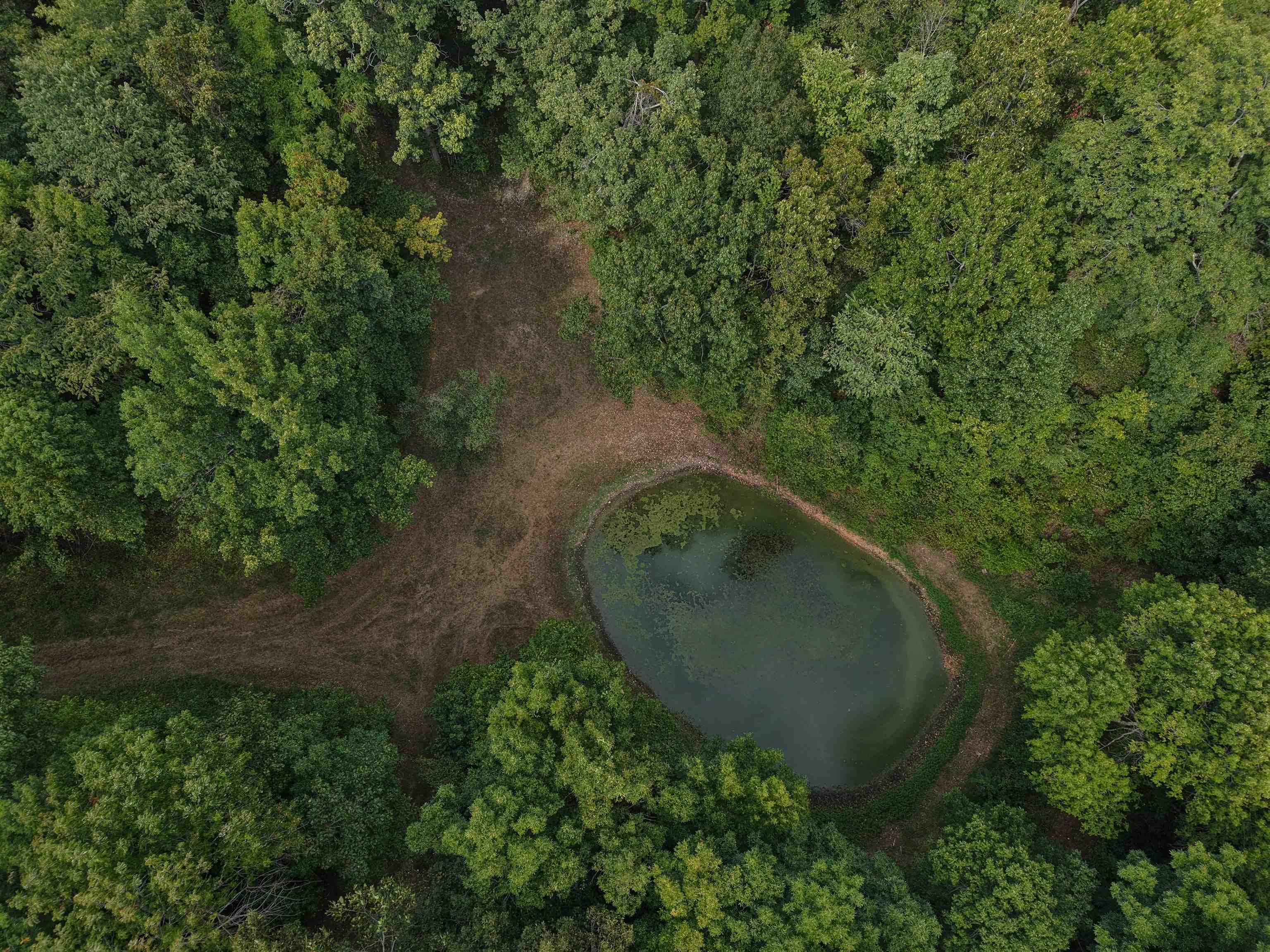 186A Williamson Trail  Mount Pleasant, AR