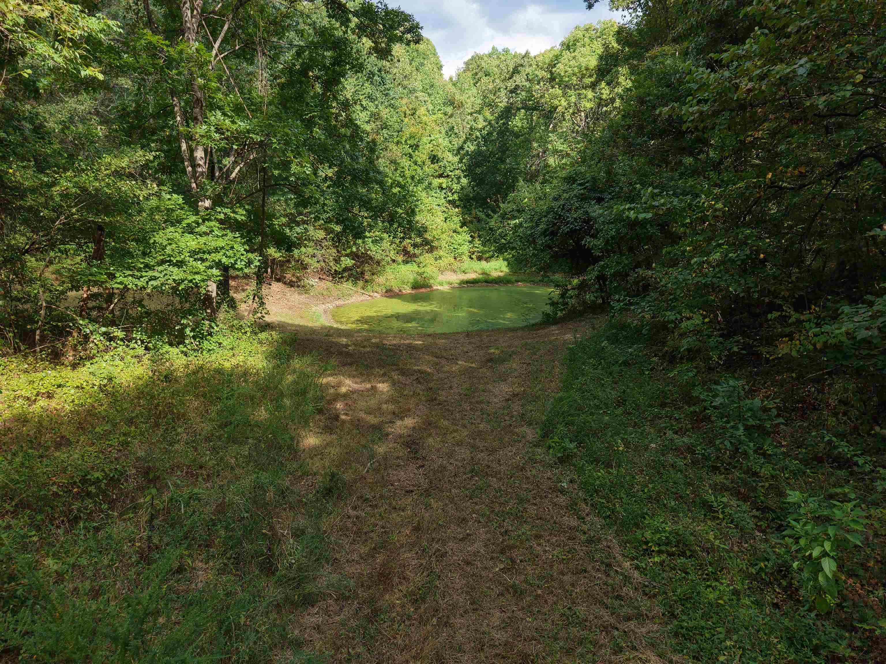 186A Williamson Trail  Mount Pleasant, AR