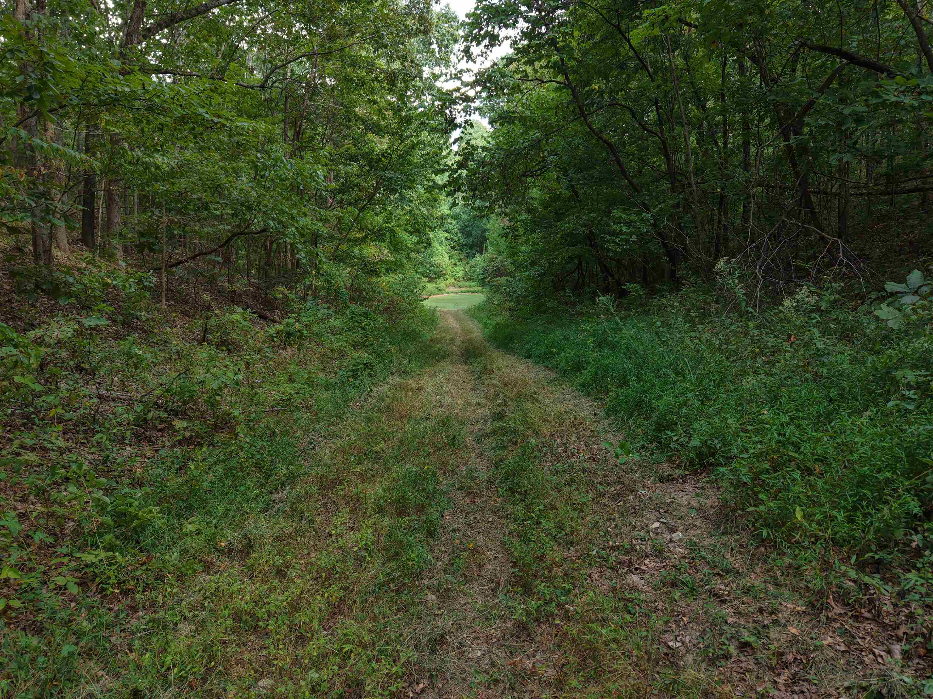 186A Williamson Trail  Mount Pleasant, AR
