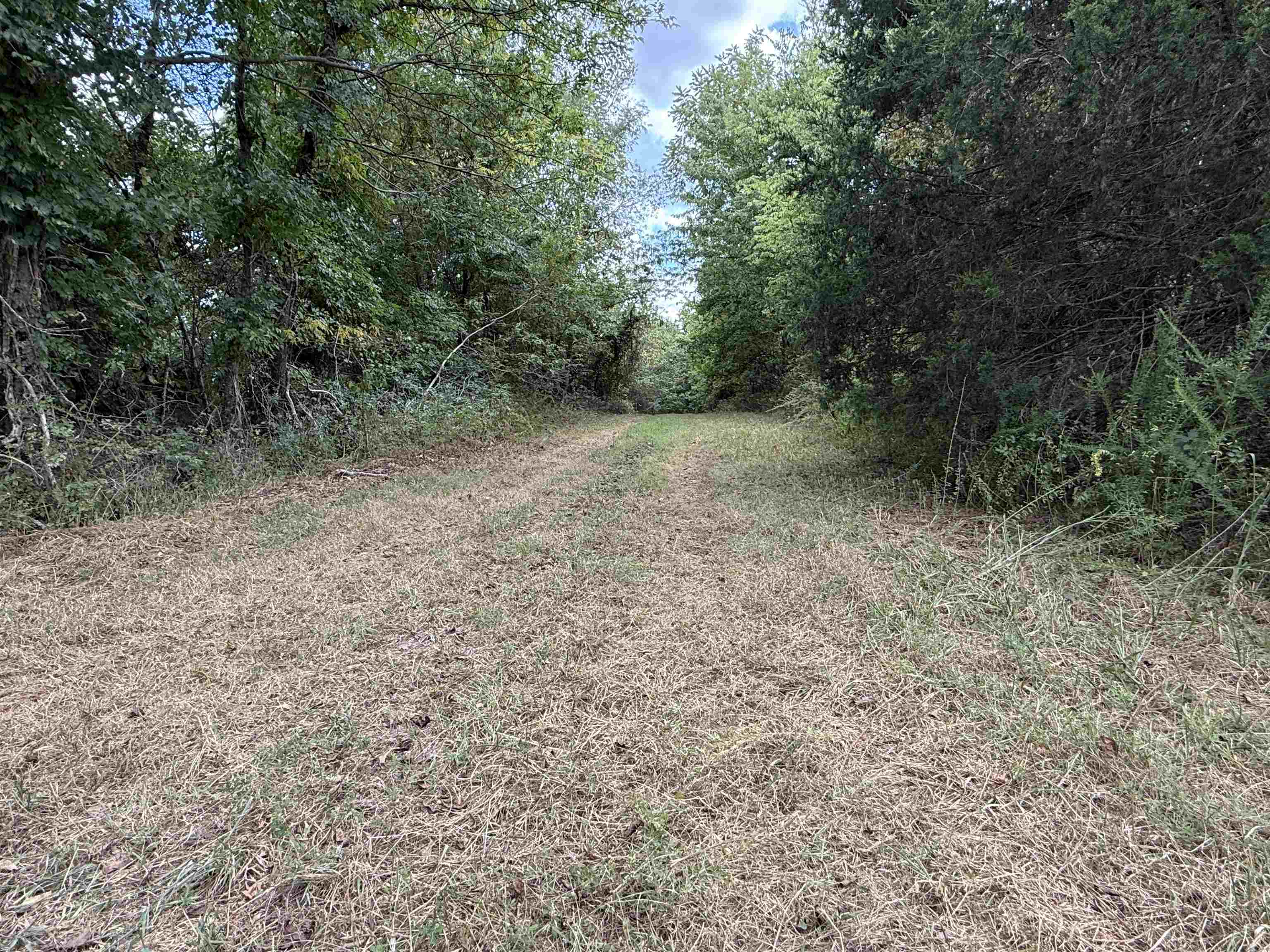 186A Williamson Trail  Mount Pleasant, AR