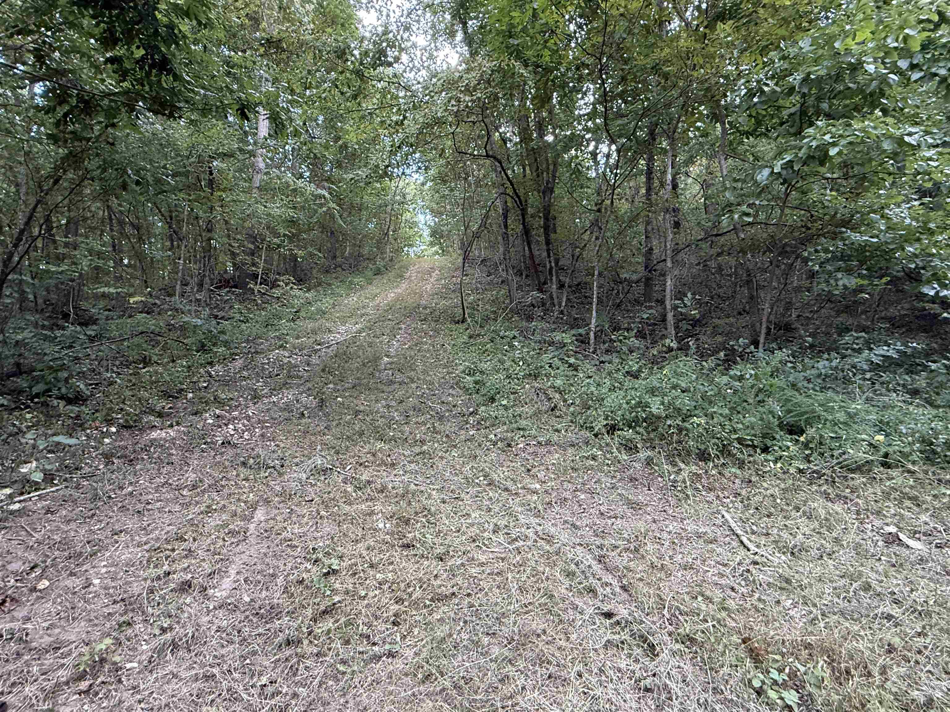 186A Williamson Trail  Mount Pleasant, AR