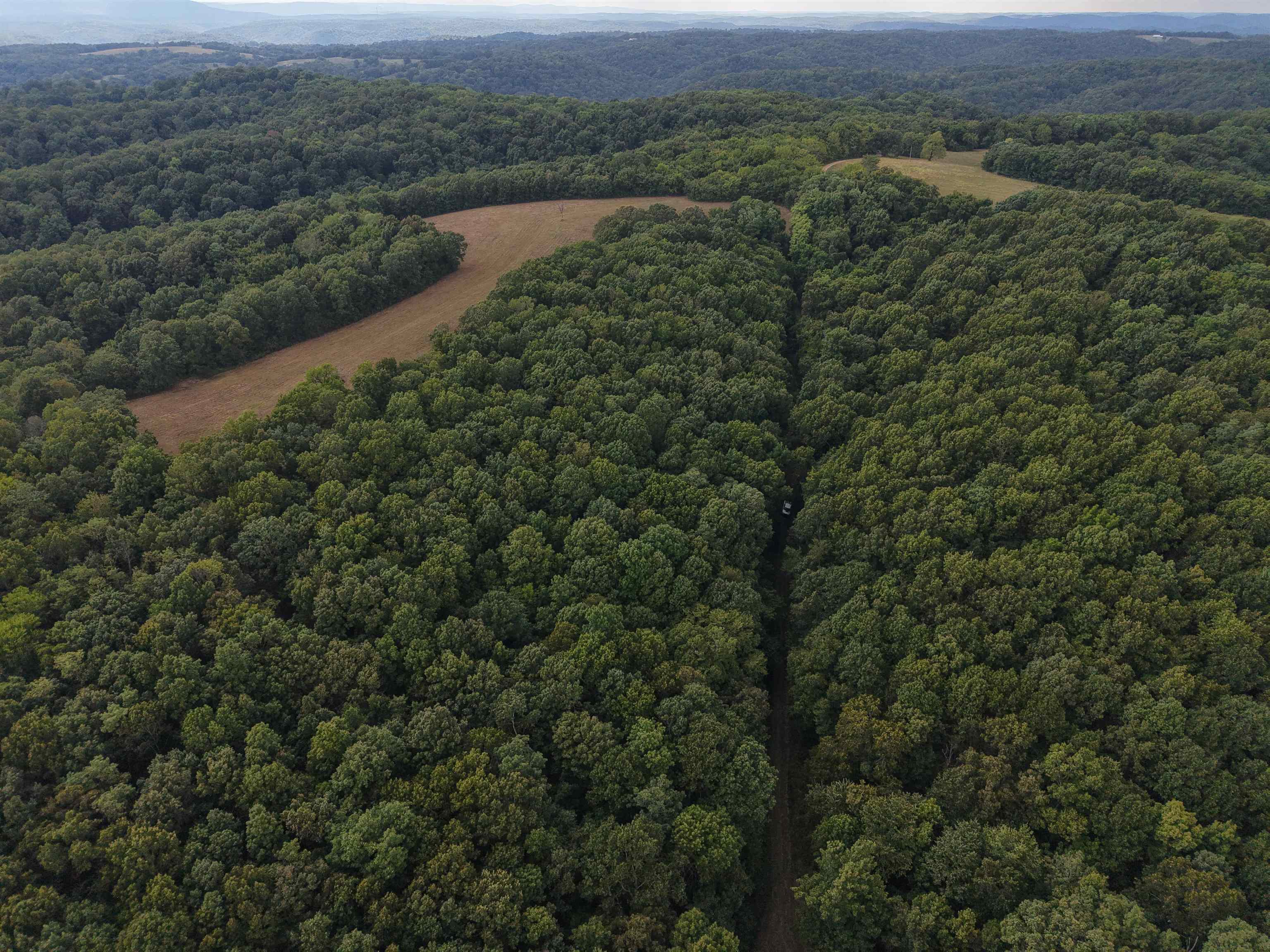 186A Williamson Trail  Mount Pleasant, AR
