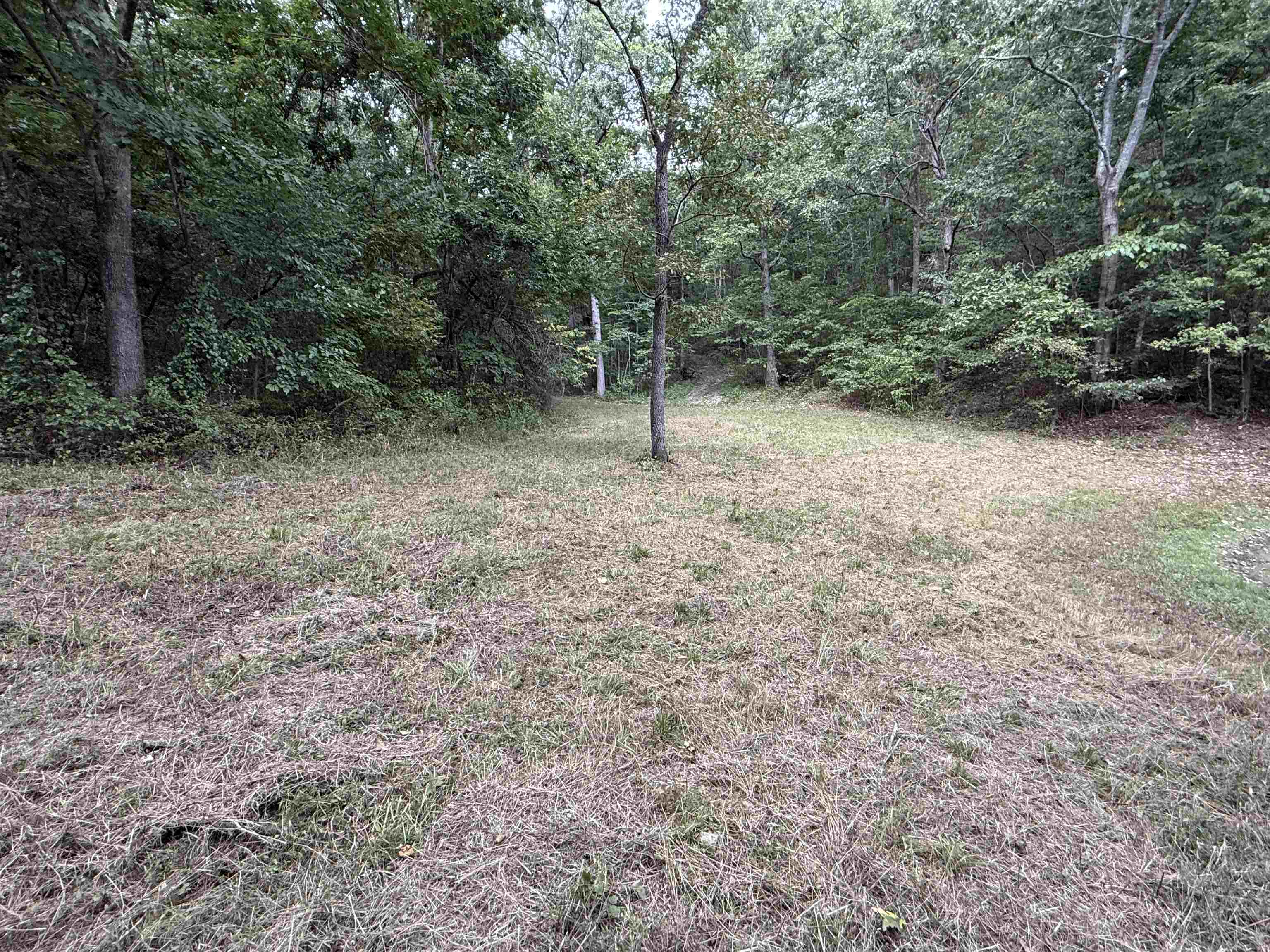 186A Williamson Trail  Mount Pleasant, AR