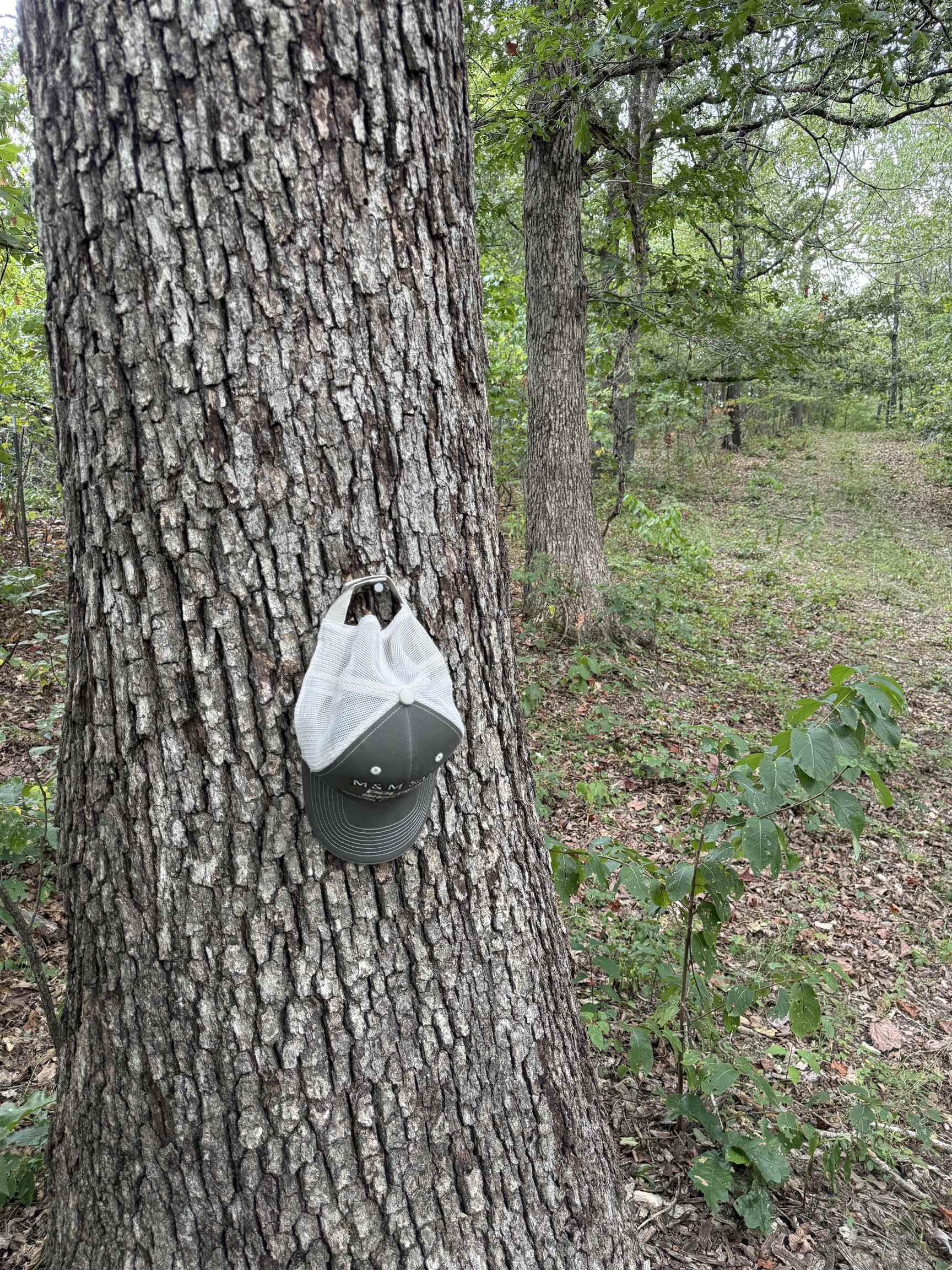 186A Williamson Trail  Mount Pleasant, AR