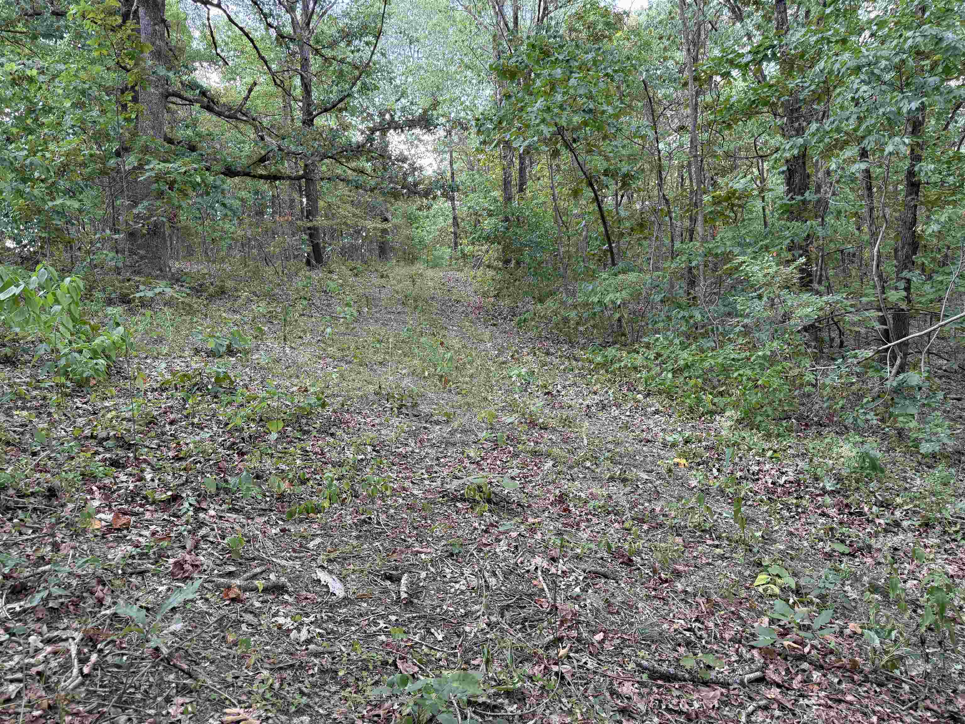 186A Williamson Trail  Mount Pleasant, AR