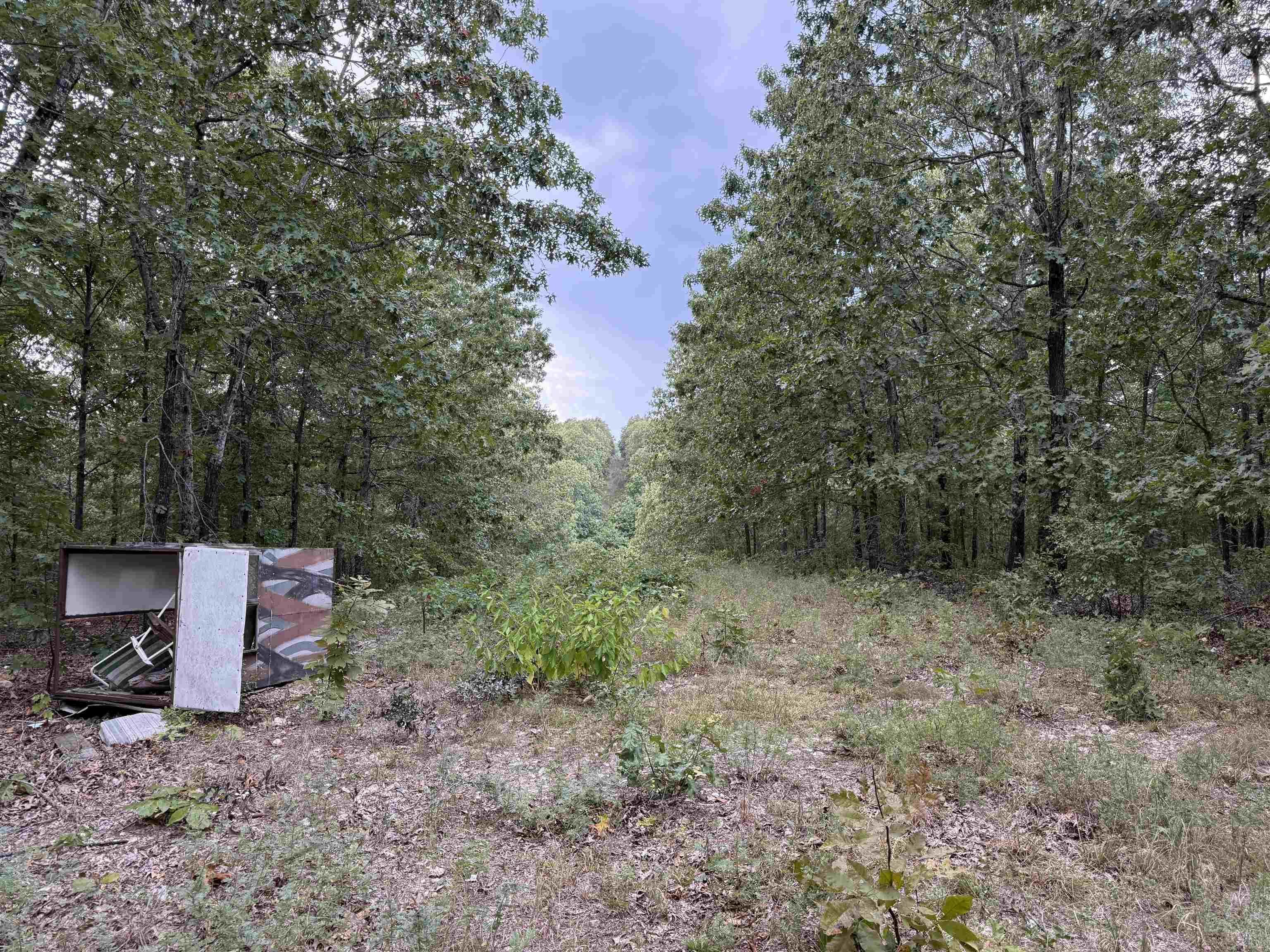 186A Williamson Trail  Mount Pleasant, AR