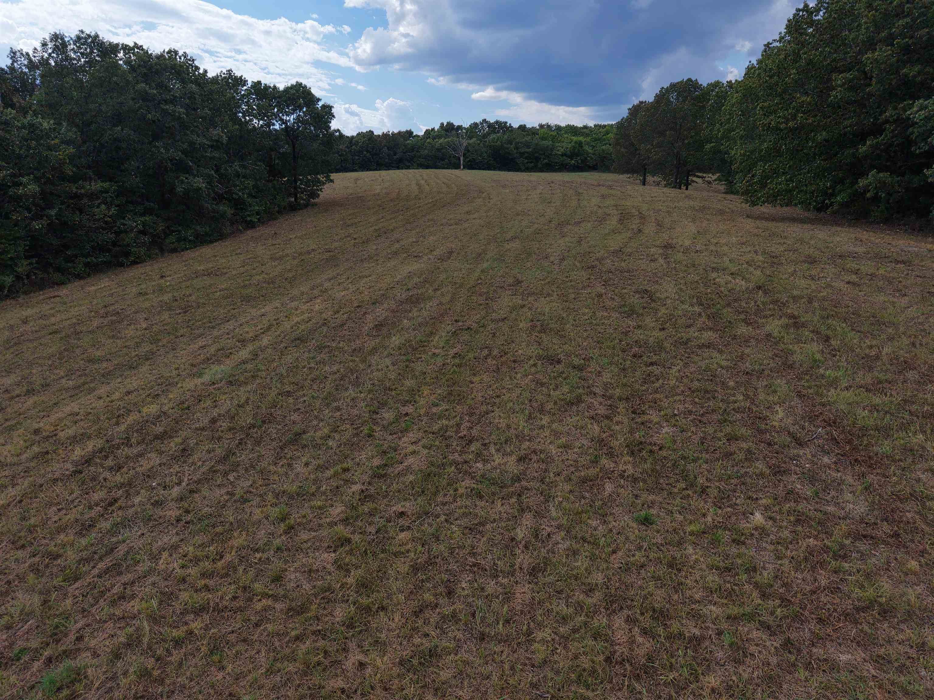 186A Williamson Trail  Mount Pleasant, AR