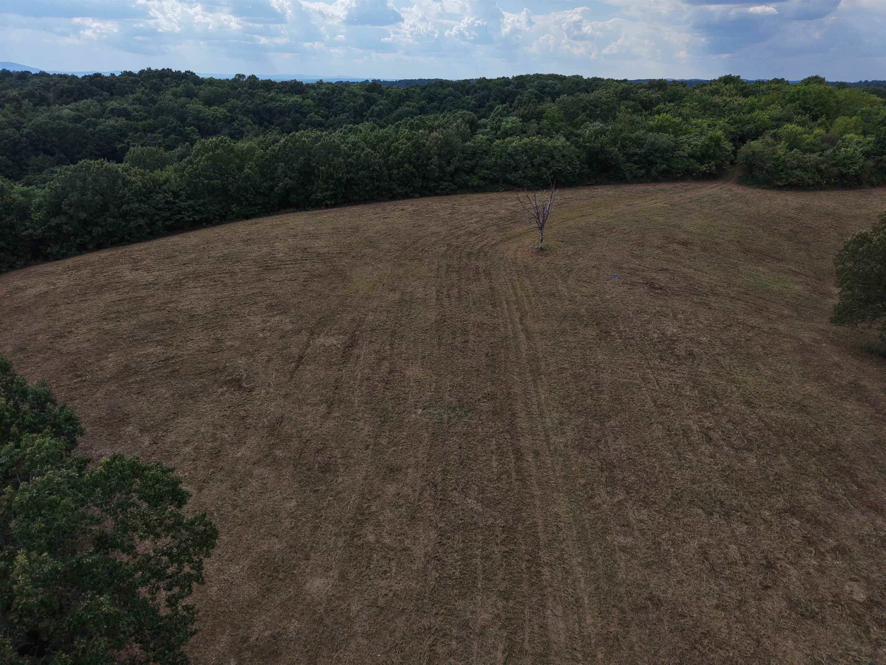 186A Williamson Trail  Mount Pleasant, AR
