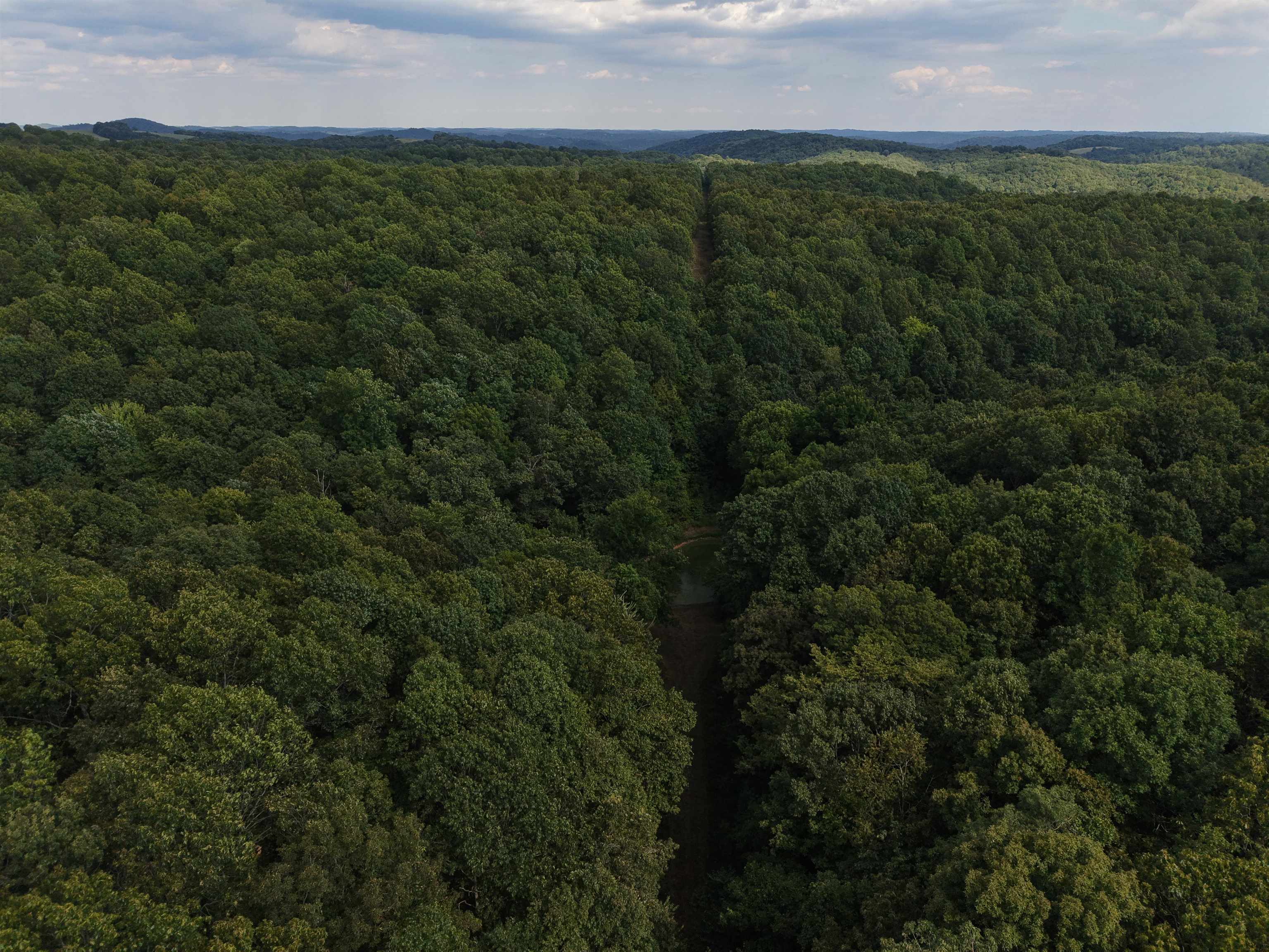 186A Williamson Trail  Mount Pleasant, AR