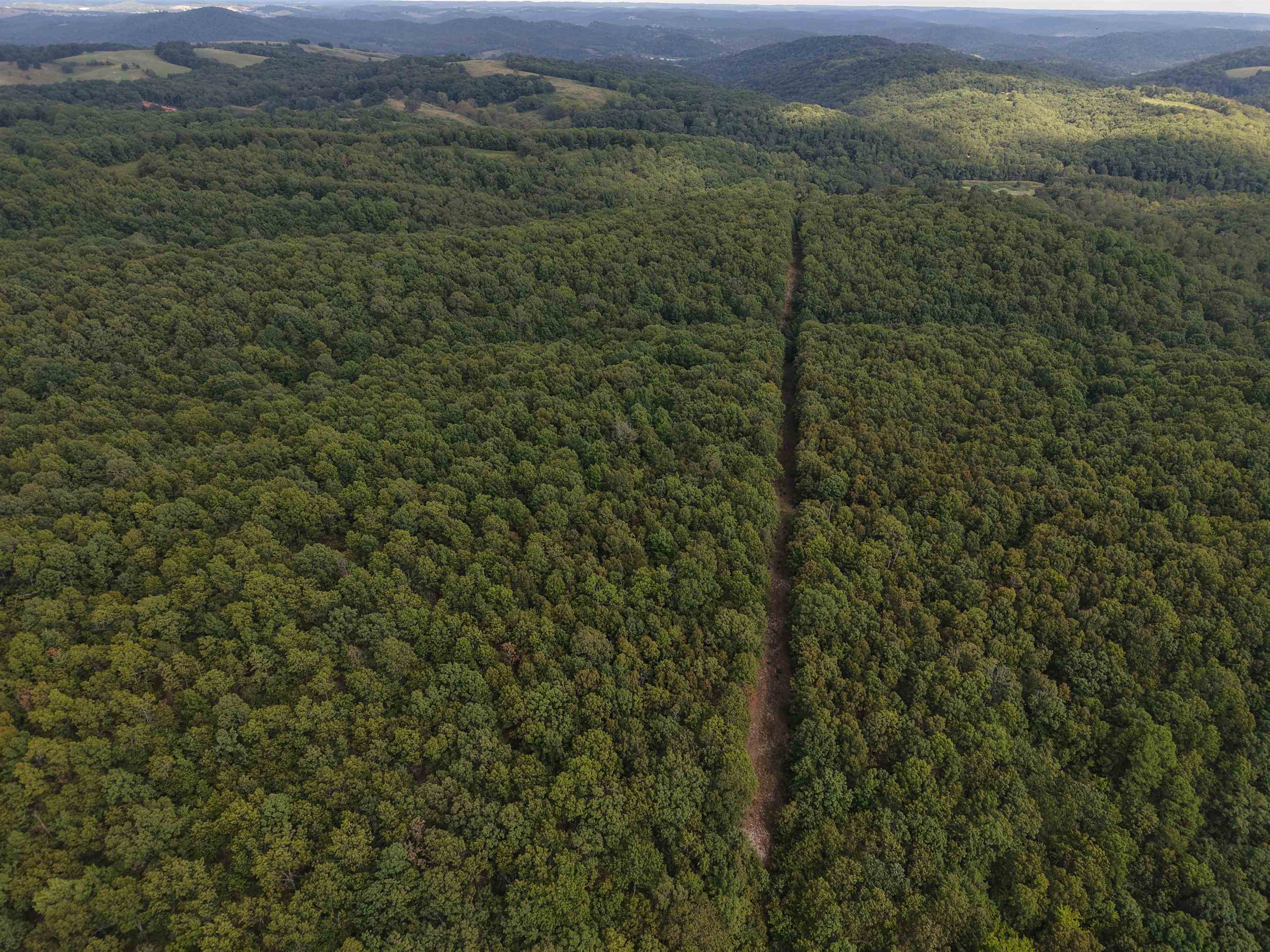 186A Williamson Trail  Mount Pleasant, AR