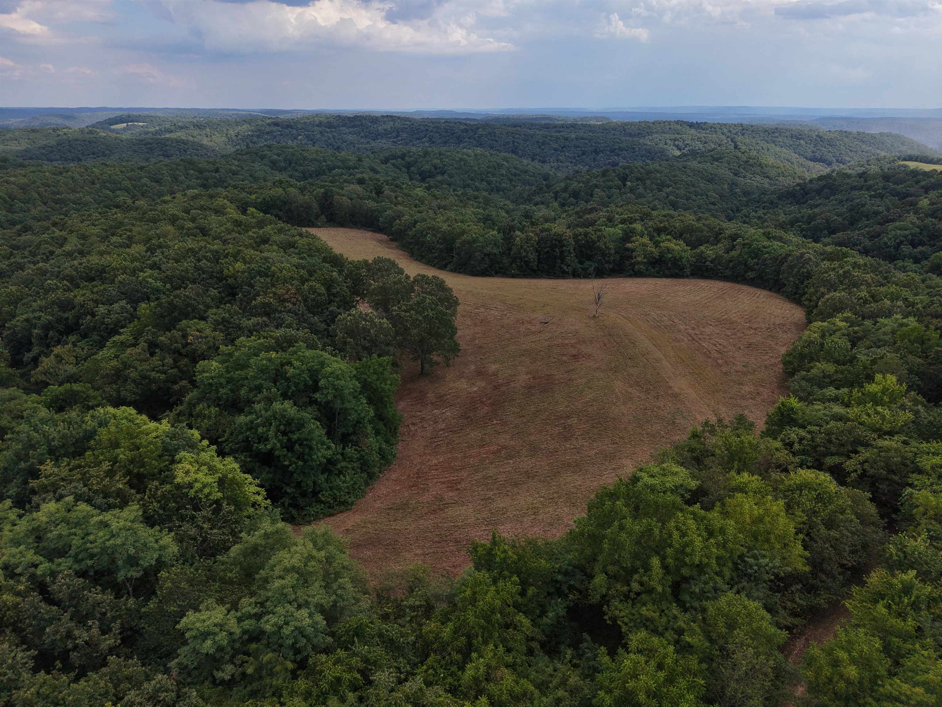 186A Williamson Trail  Mount Pleasant, AR
