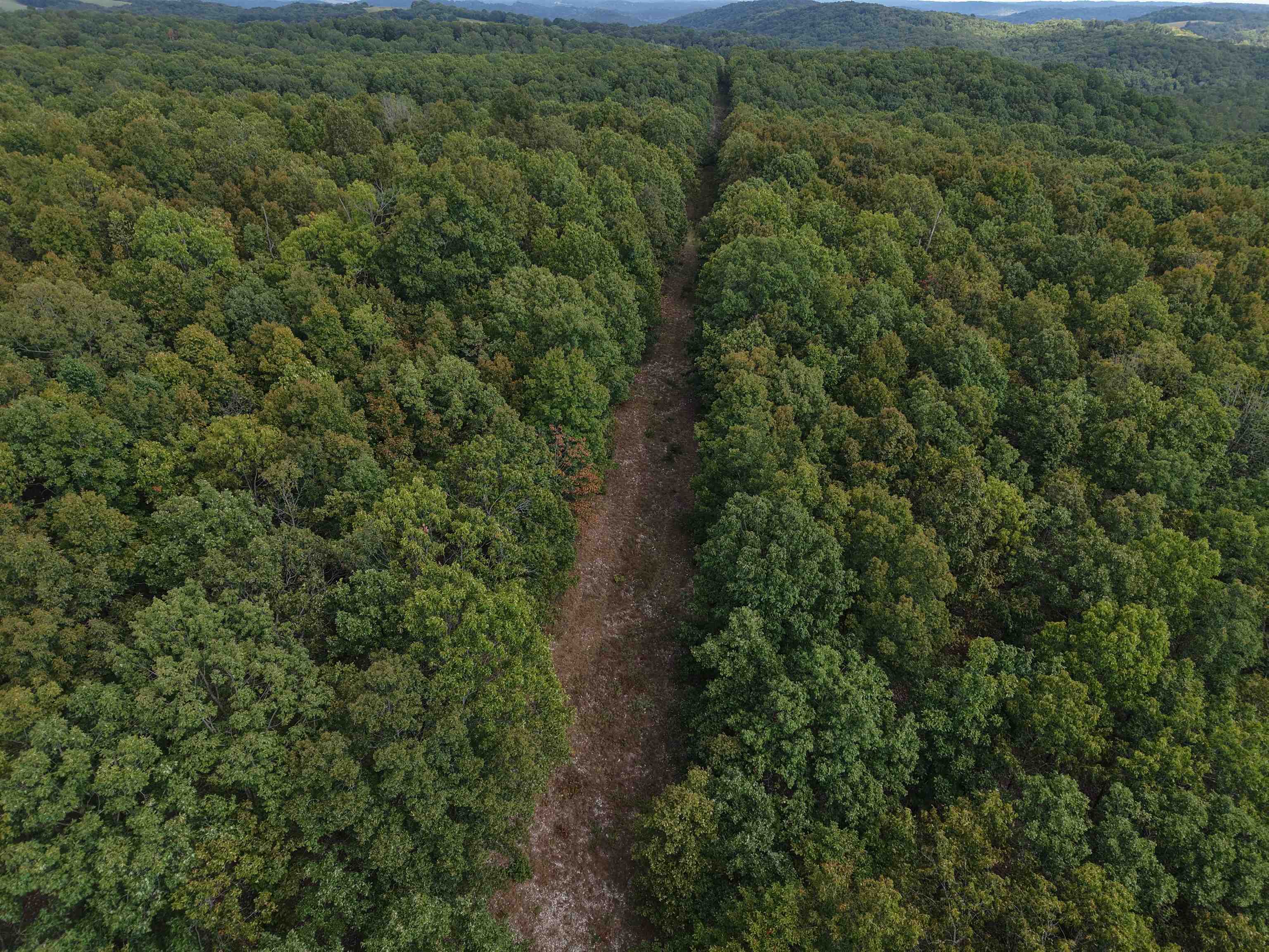 186A Williamson Trail  Mount Pleasant, AR
