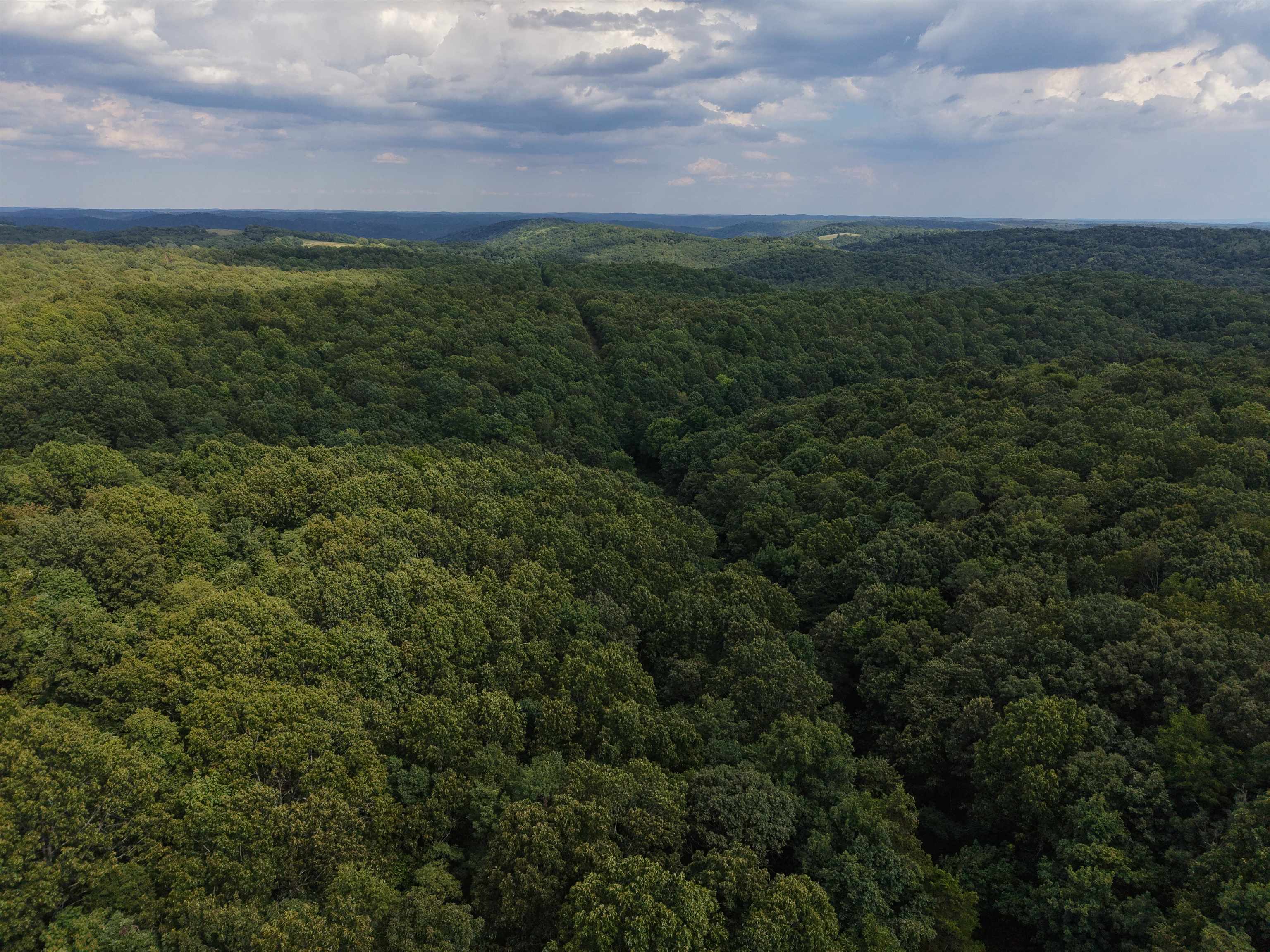 186A Williamson Trail  Mount Pleasant, AR