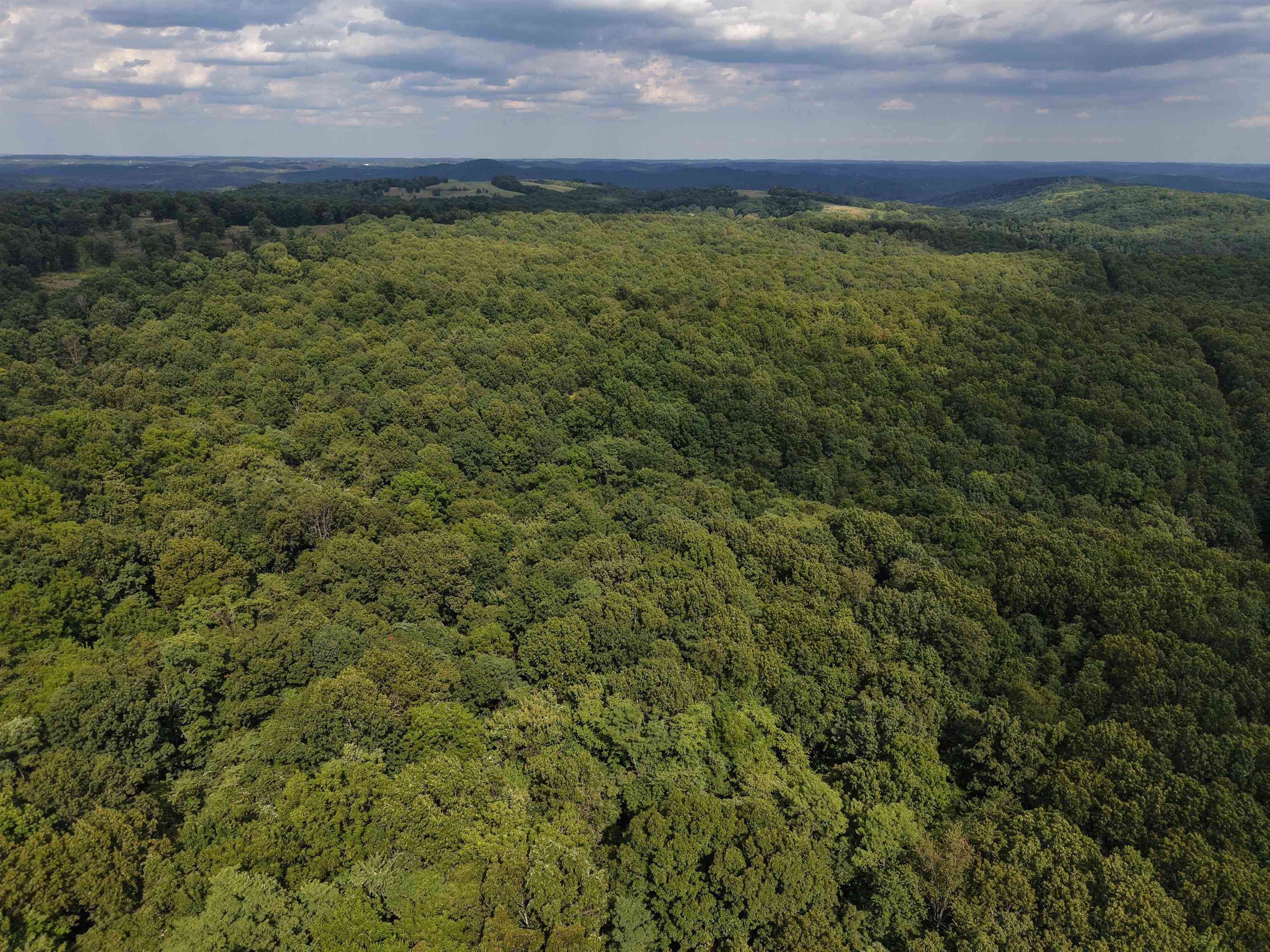 186A Williamson Trail  Mount Pleasant, AR