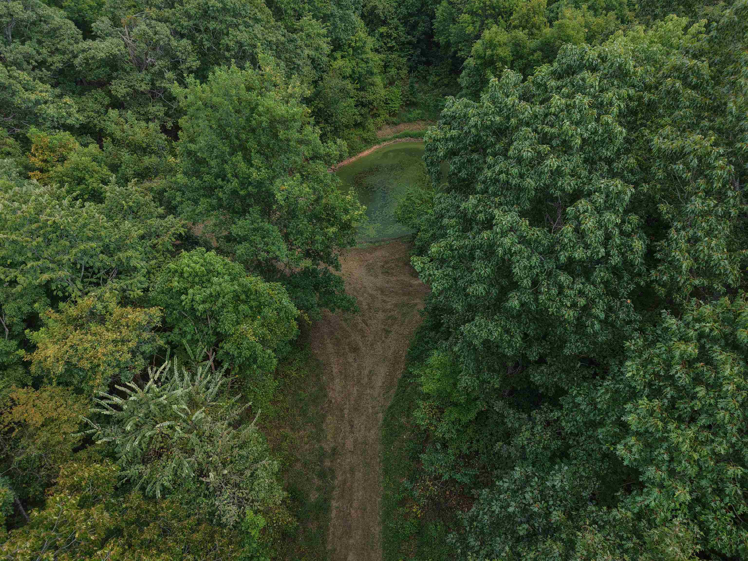 186A Williamson Trail  Mount Pleasant, AR