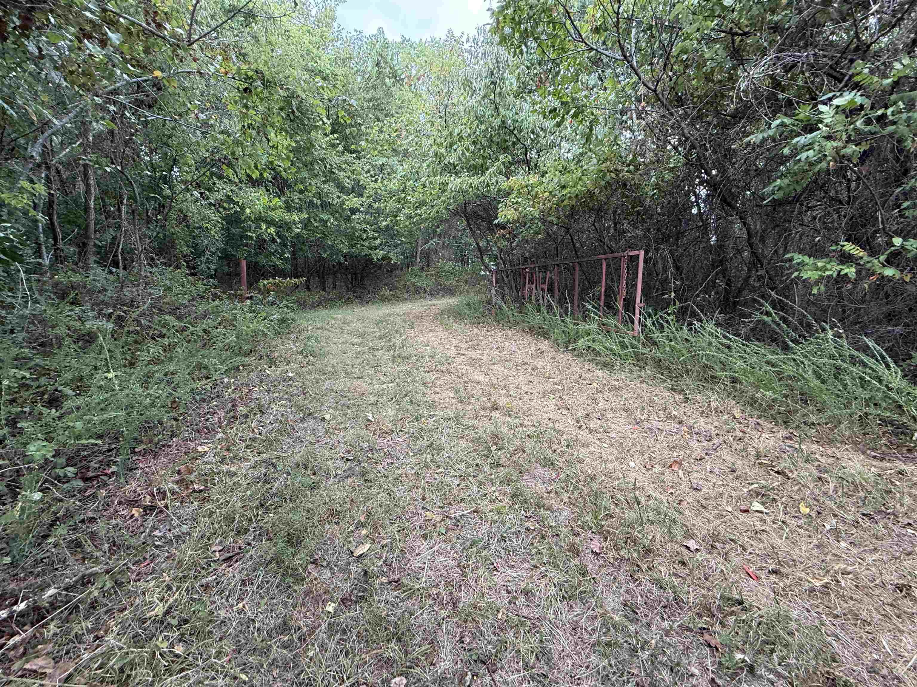 186A Williamson Trail  Mount Pleasant, AR