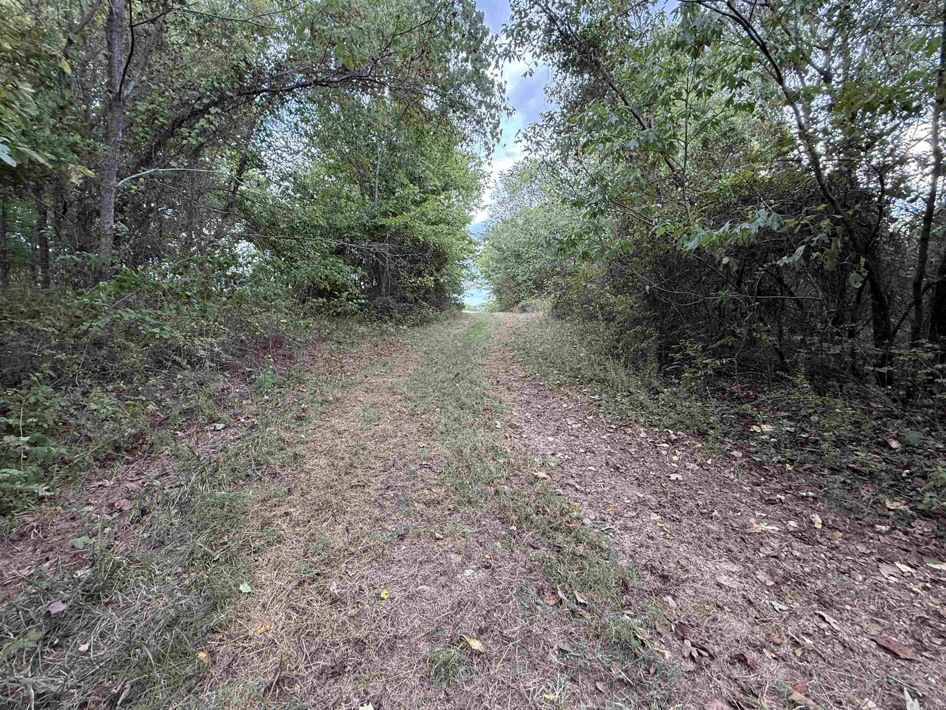 186A Williamson Trail  Mount Pleasant, AR