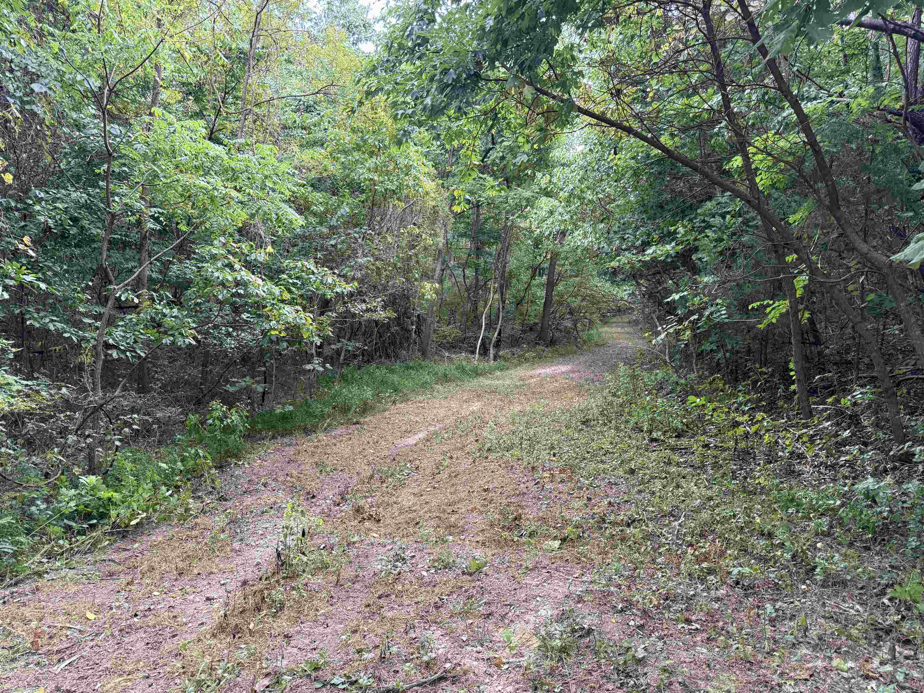 186A Williamson Trail  Mount Pleasant, AR