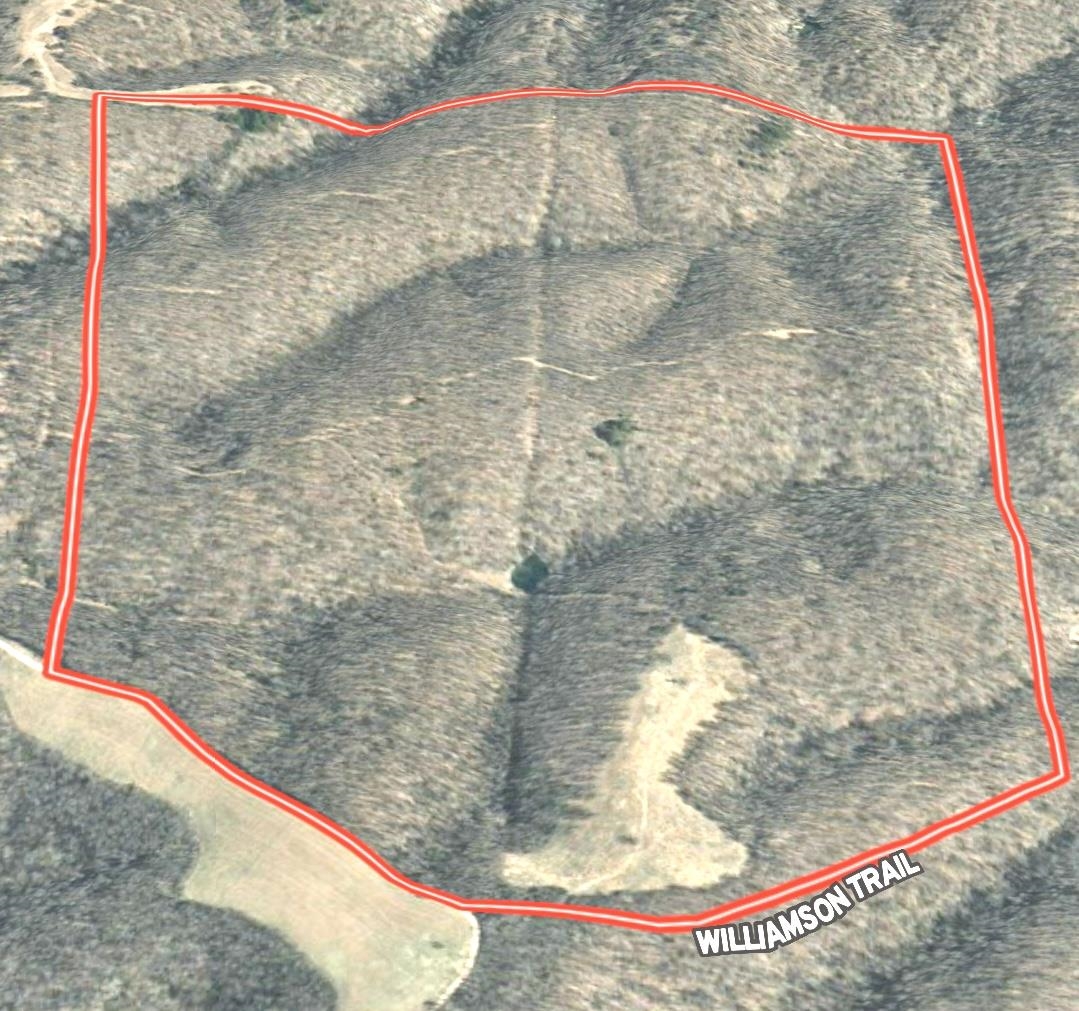186A Williamson Trail  Mount Pleasant, AR