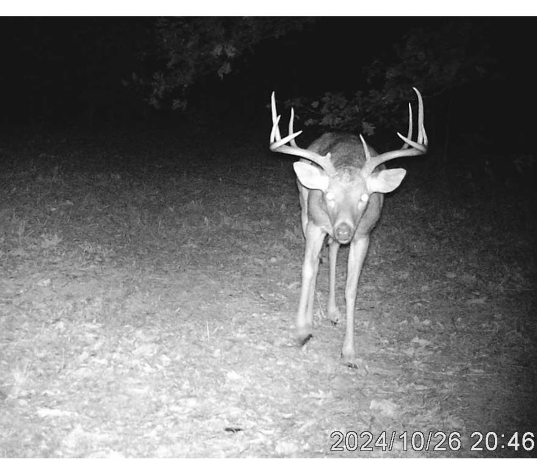 186A Williamson Trail  Mount Pleasant, AR