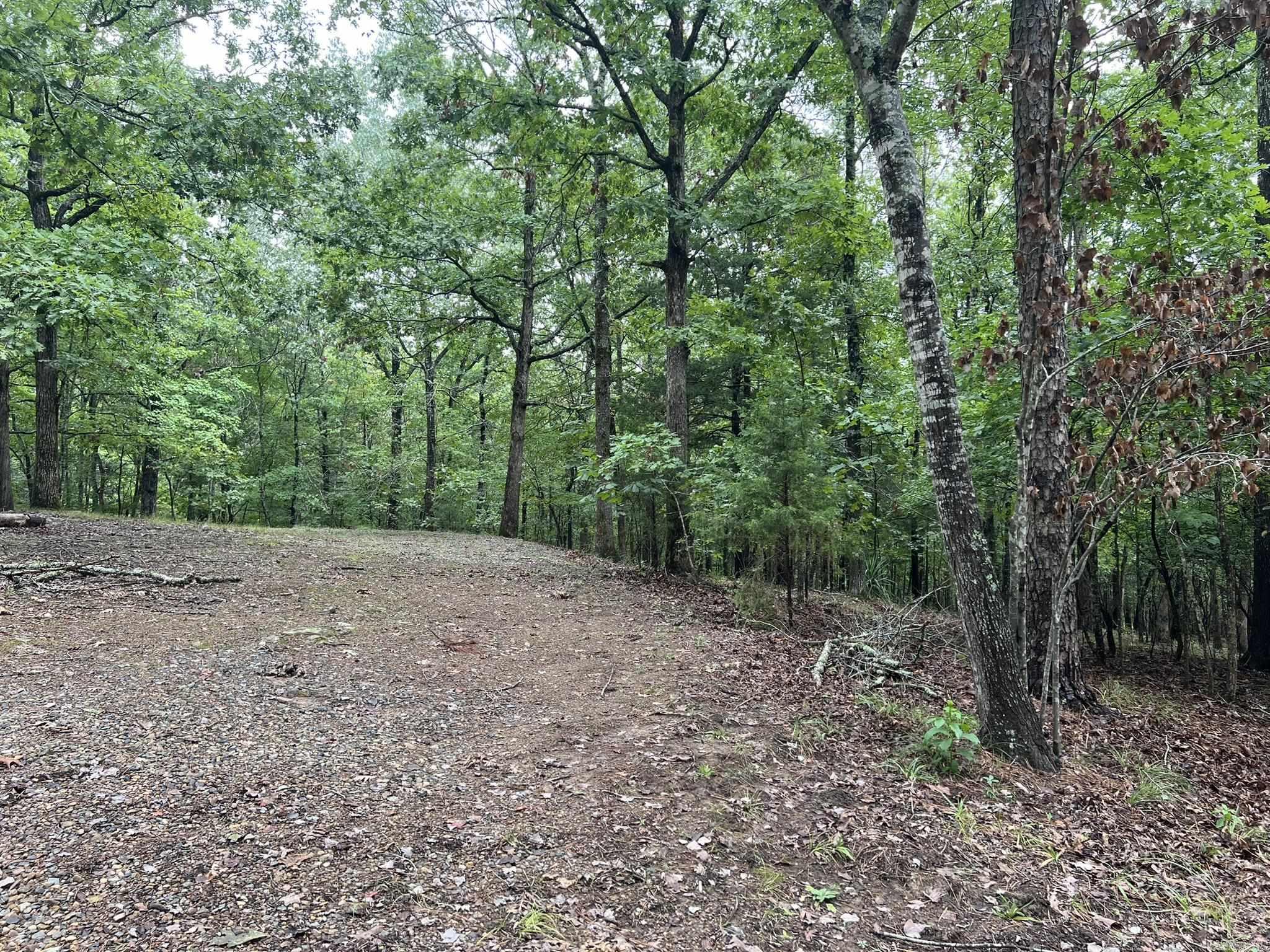 154 Mills  Mena, AR