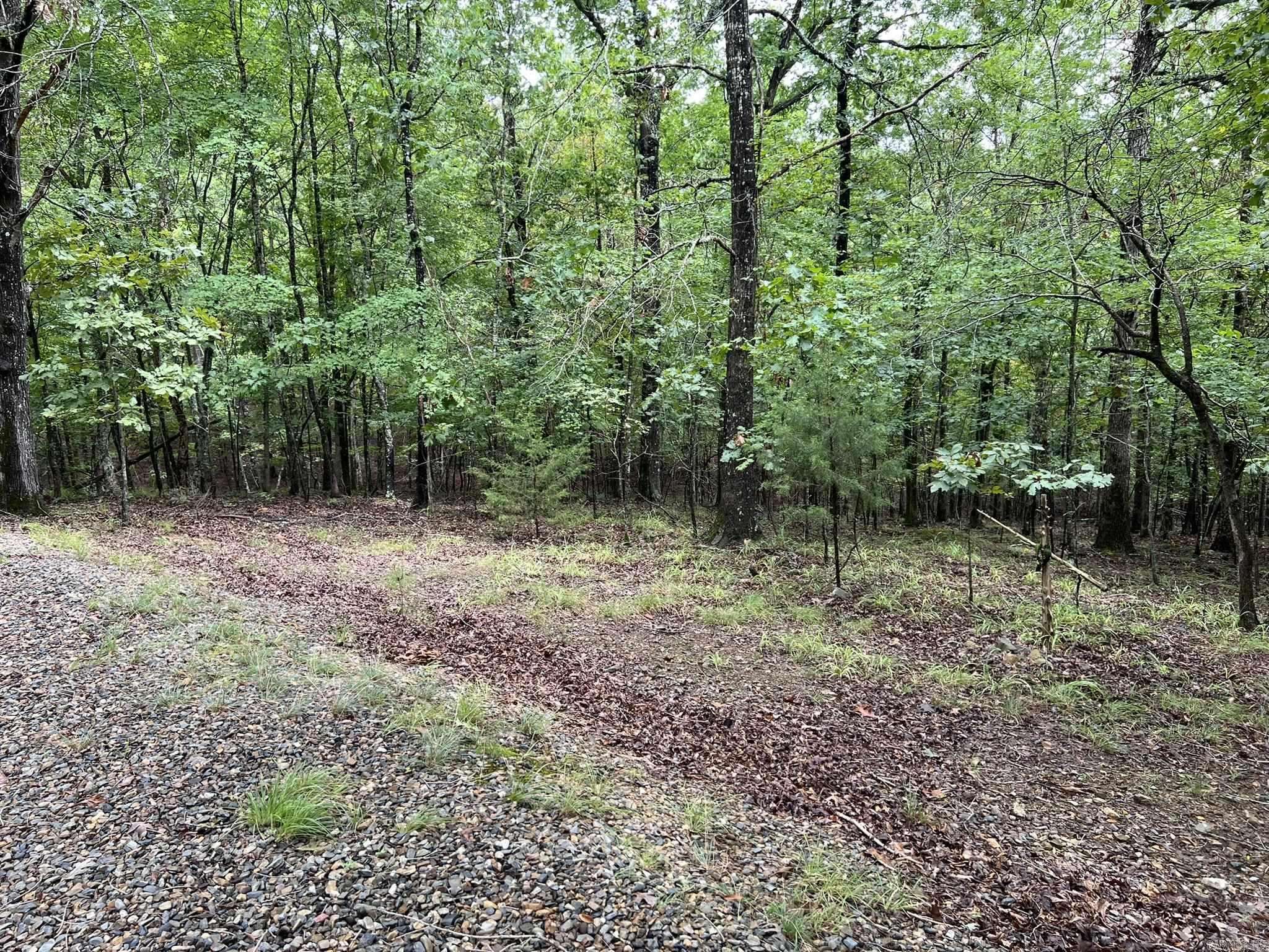 154 Mills  Mena, AR