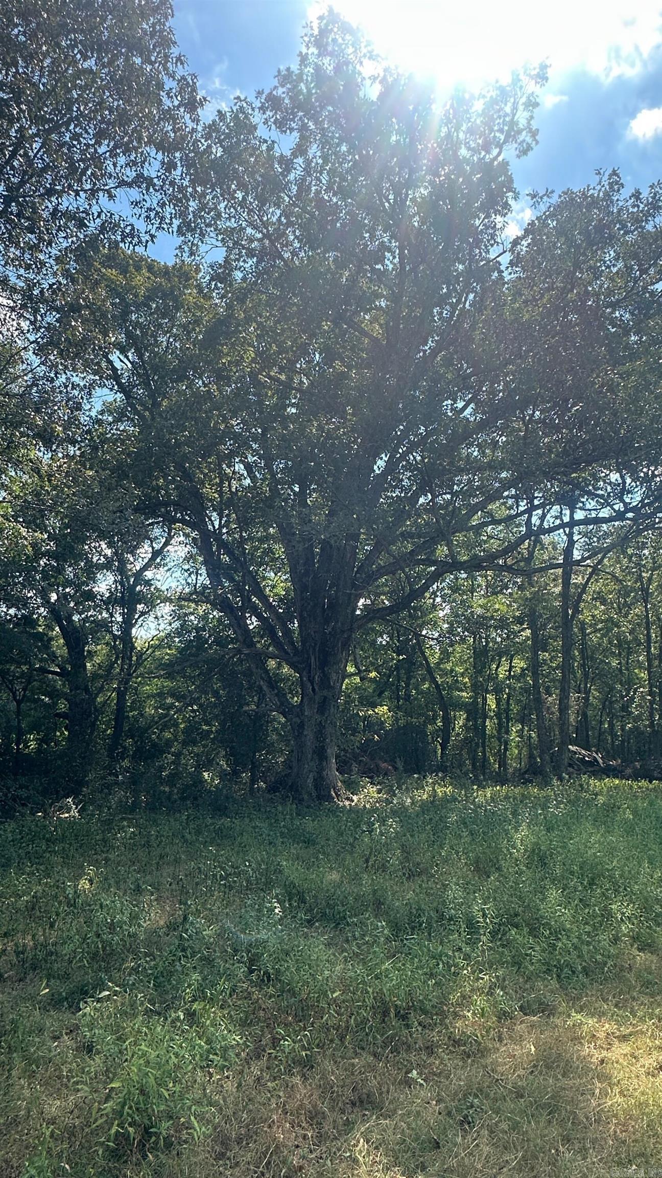 730 HWY 258  Bald Knob, AR
