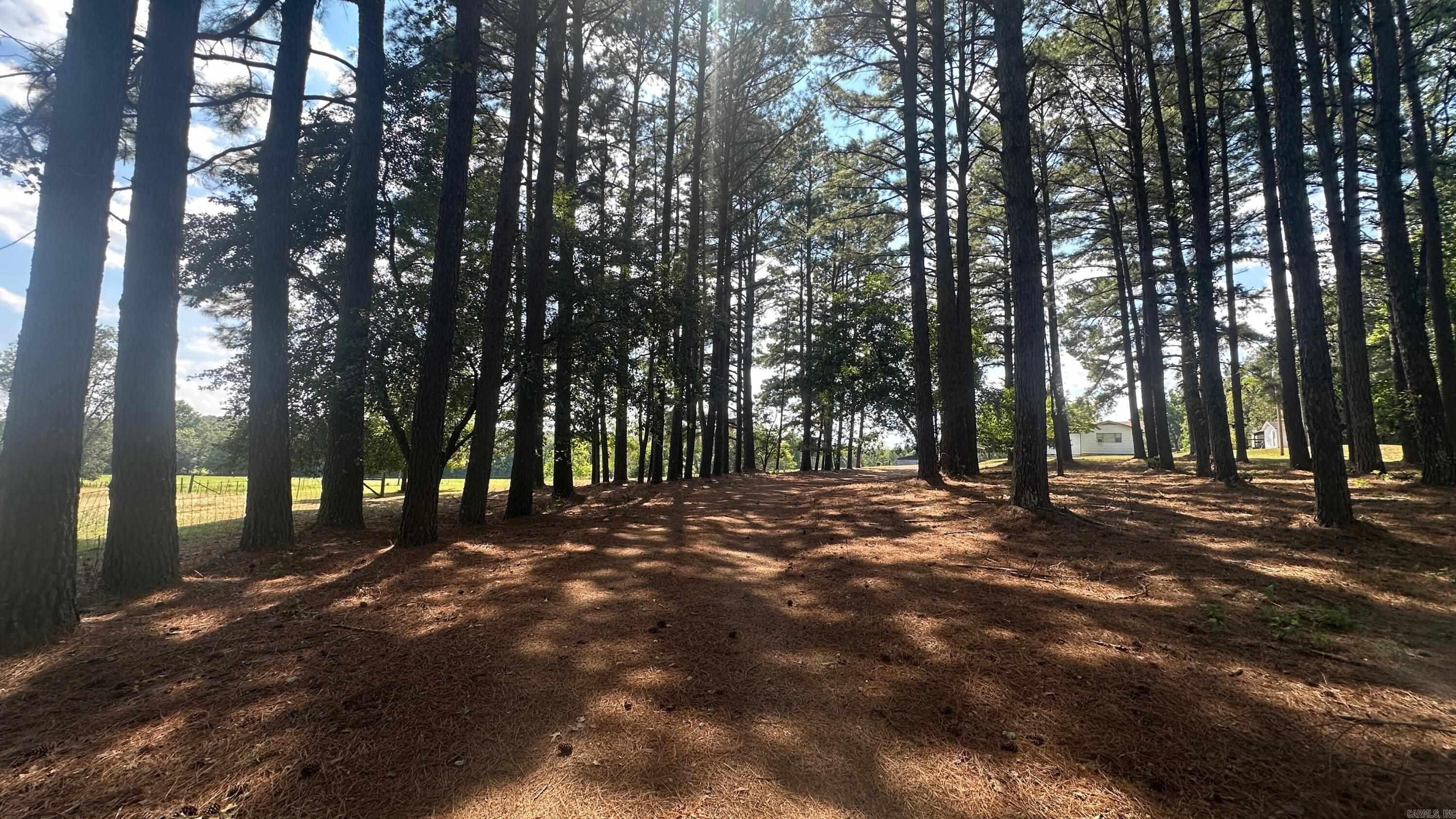 730 HWY 258  Bald Knob, AR