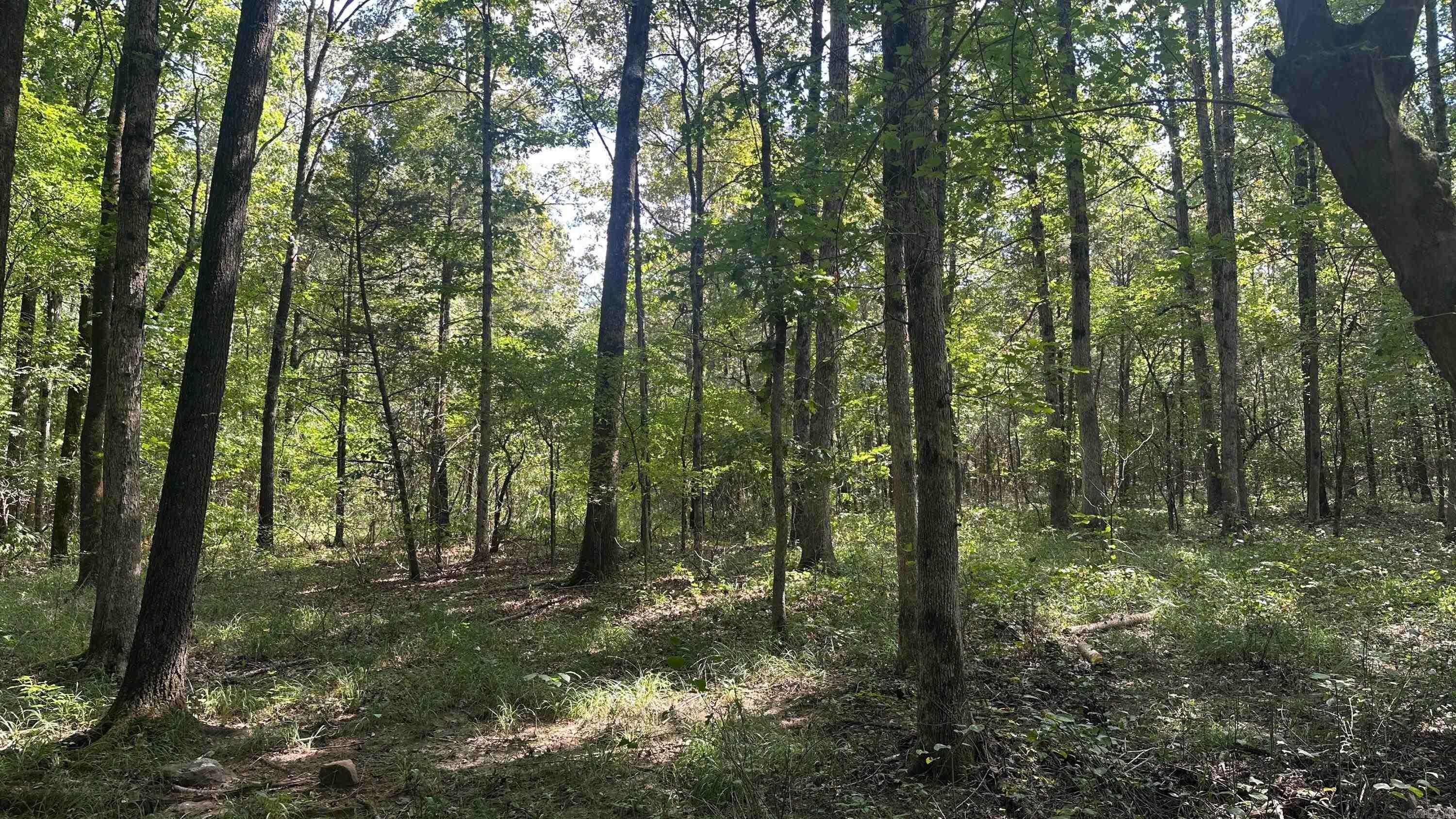 730 HWY 258  Bald Knob, AR